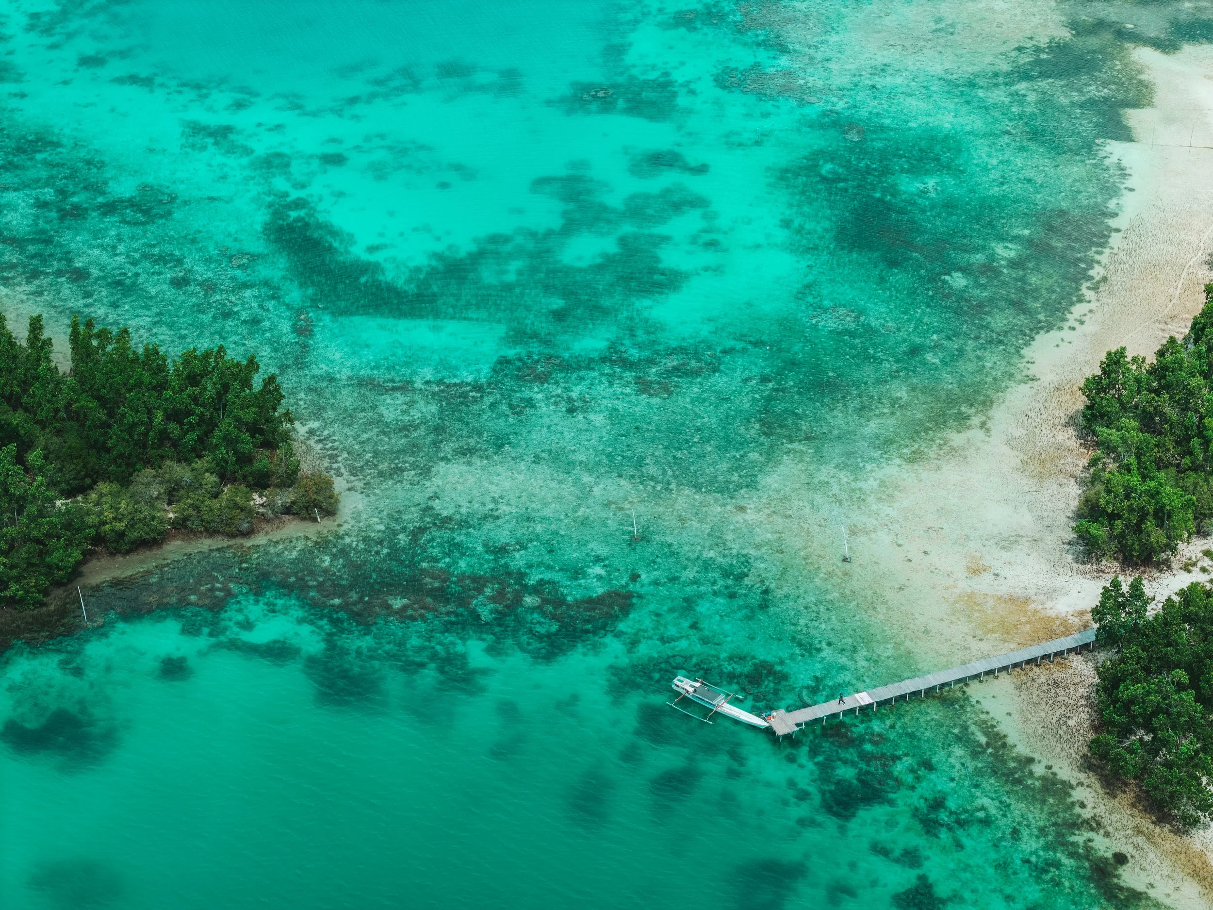 Reconnect_Island_Selection_AK-49 (1).jpg
