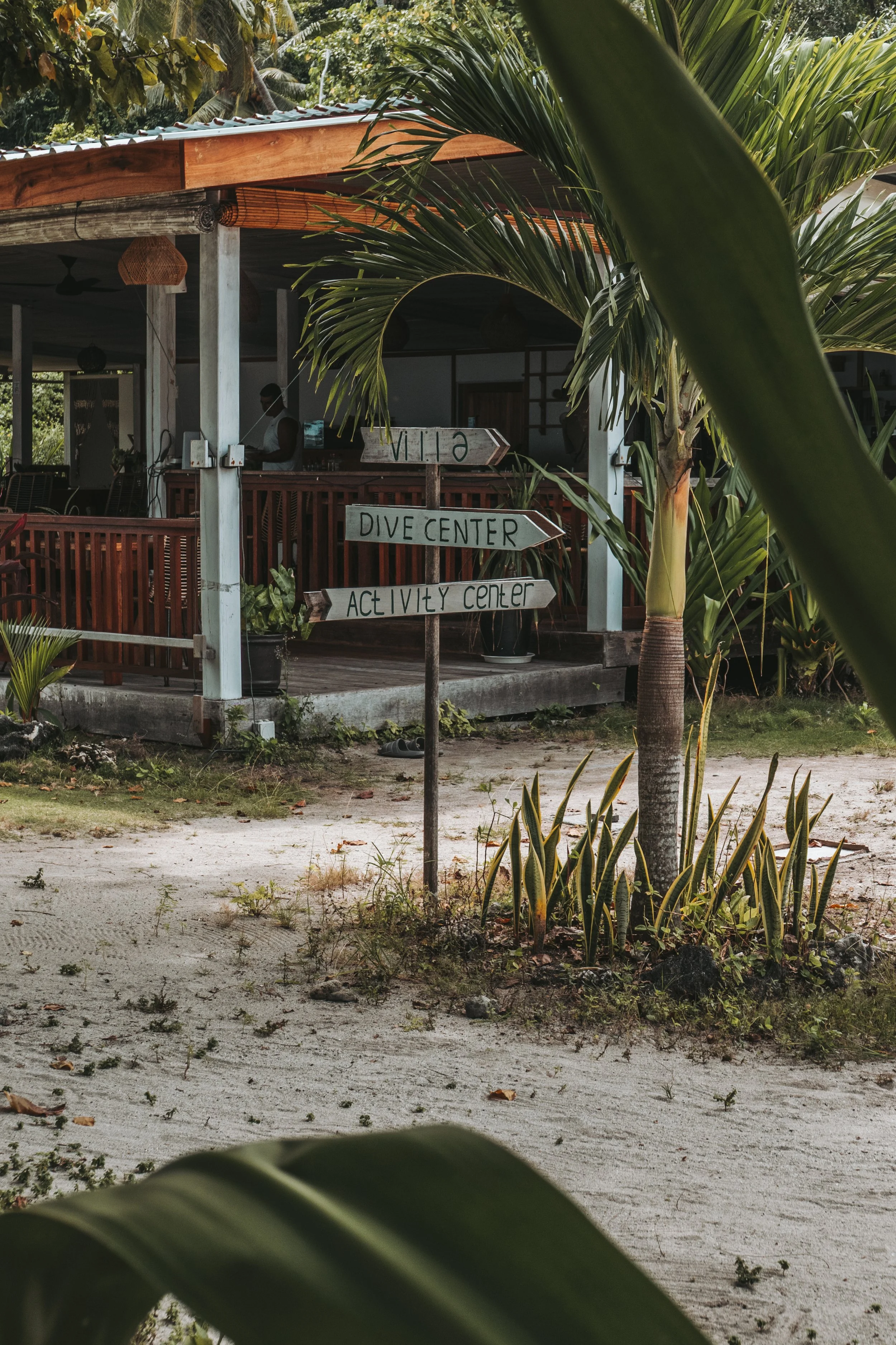 Reconnect_Island_Selection_AK-03 (1).jpg