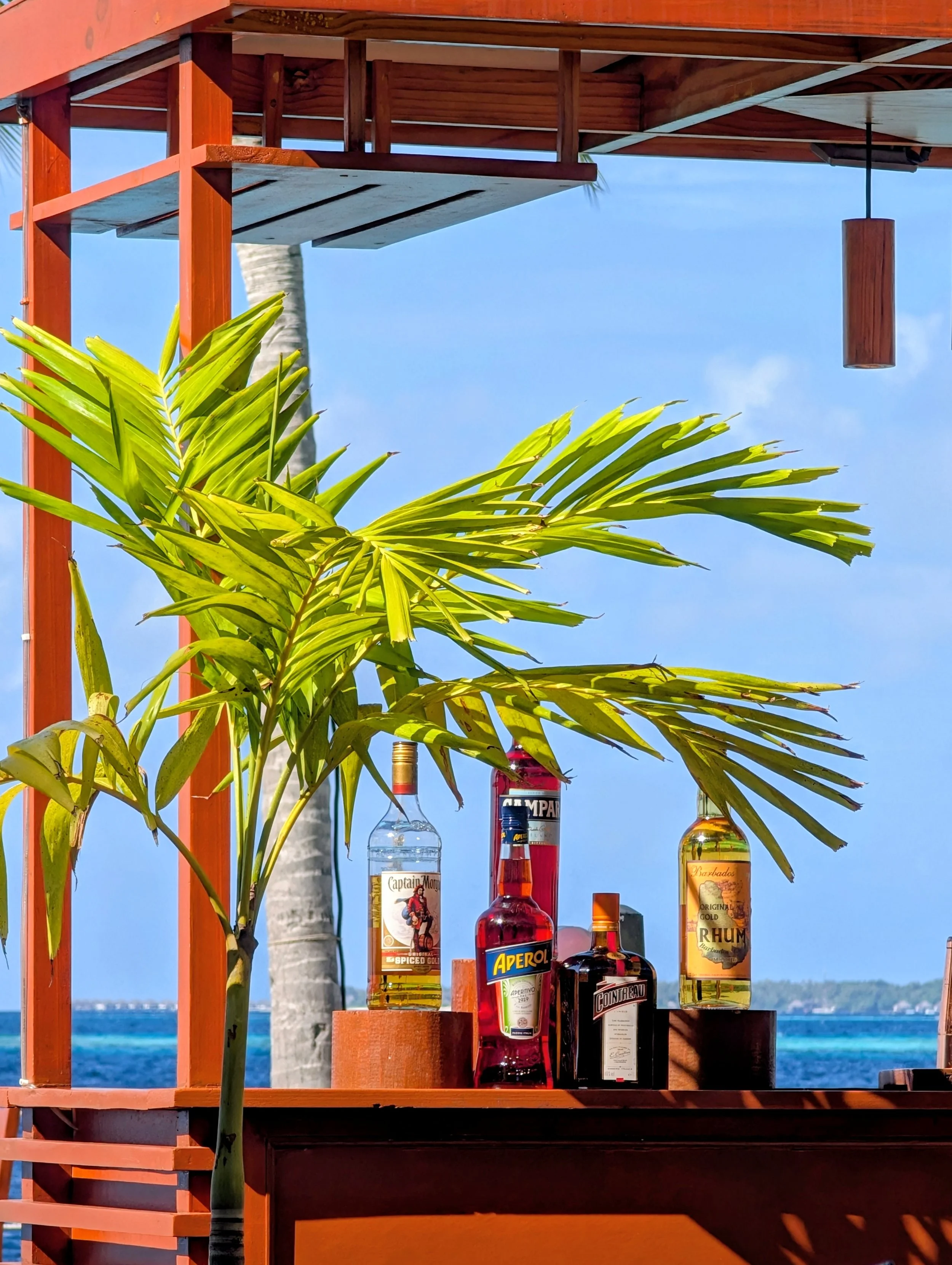 Bar Drinks.jpg