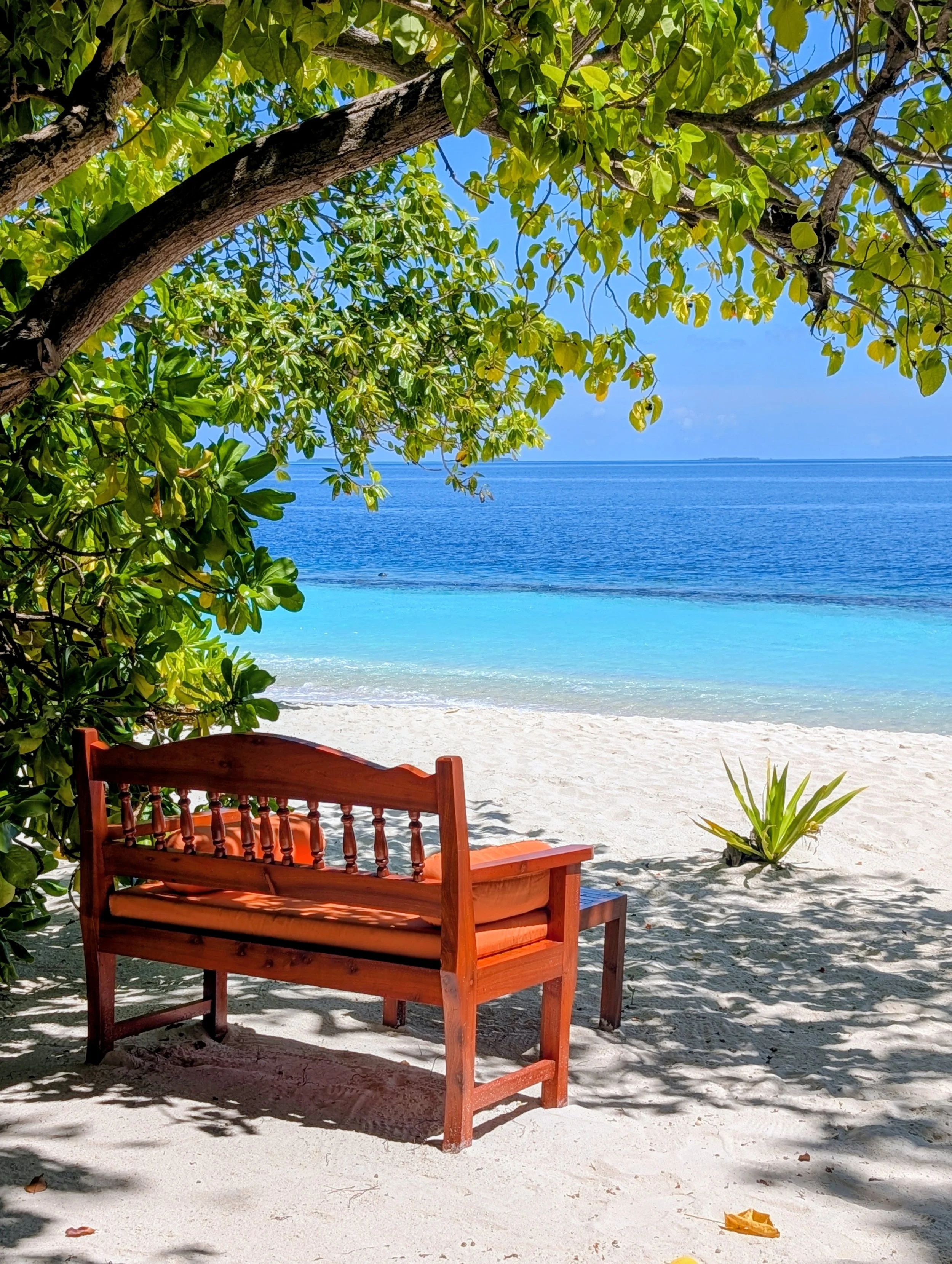 Beach Bench (1).jpg