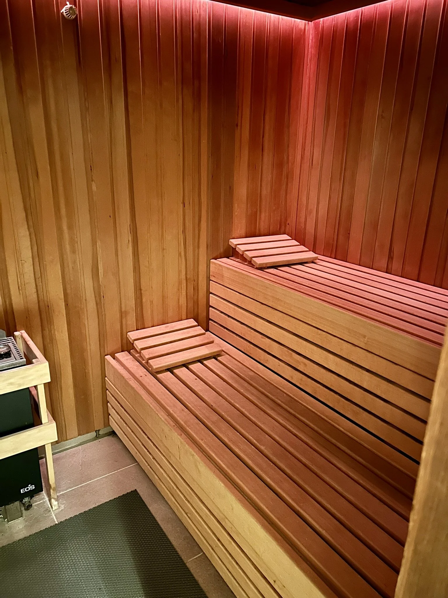 Wiemsel_PienFrommink_2026 (4).JPEG