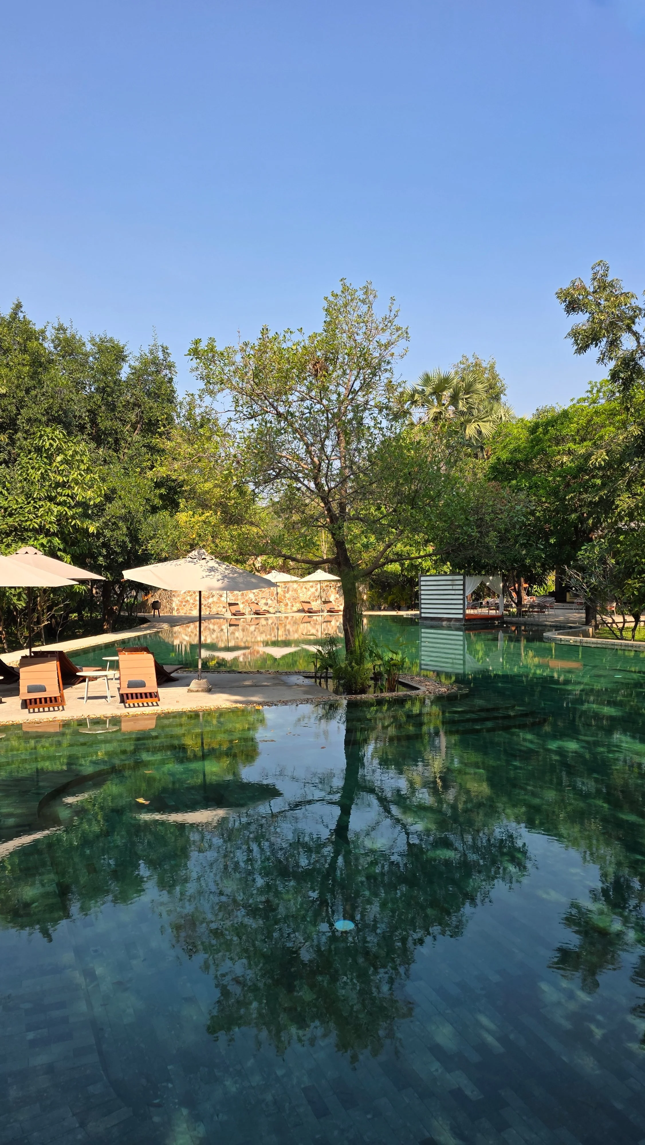 20260213_094201 (2).jpg