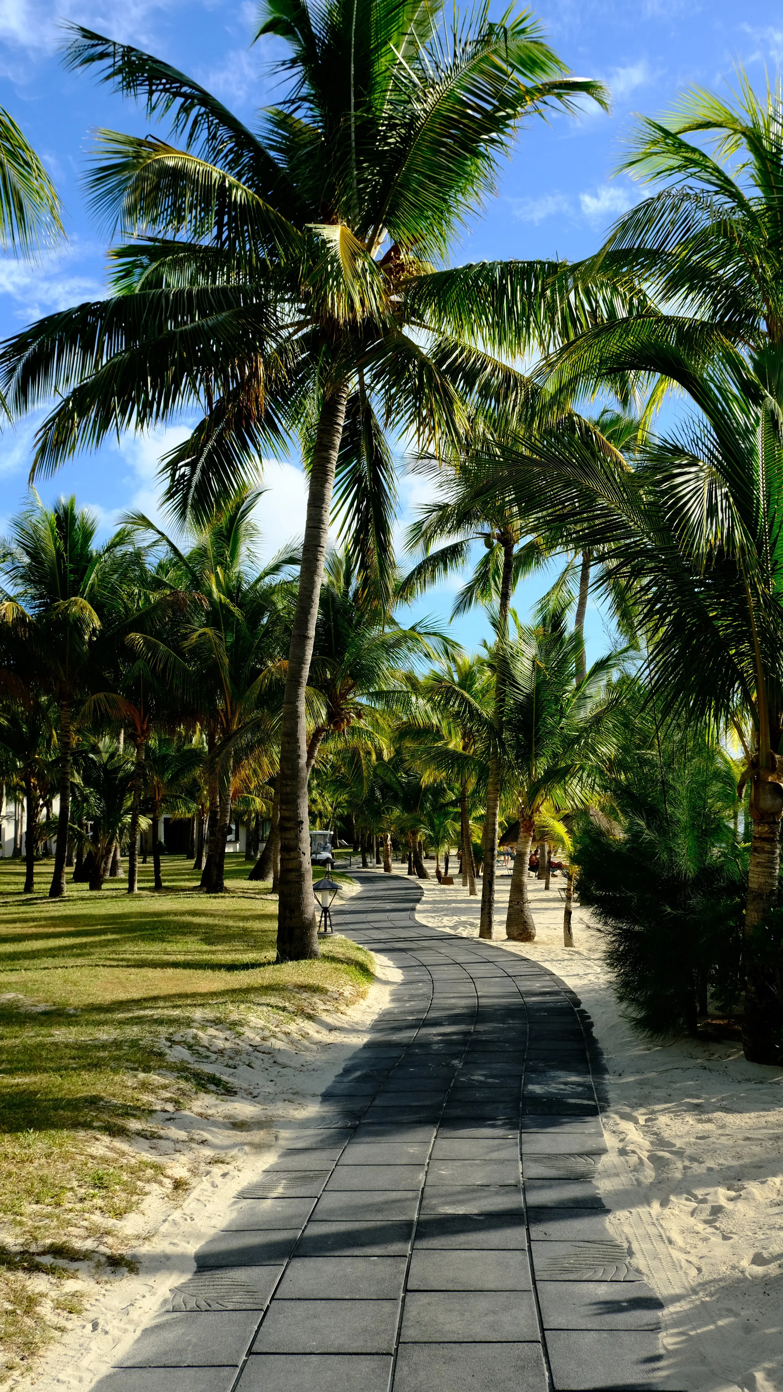 walk thorugh dinarobin  (1).jpg