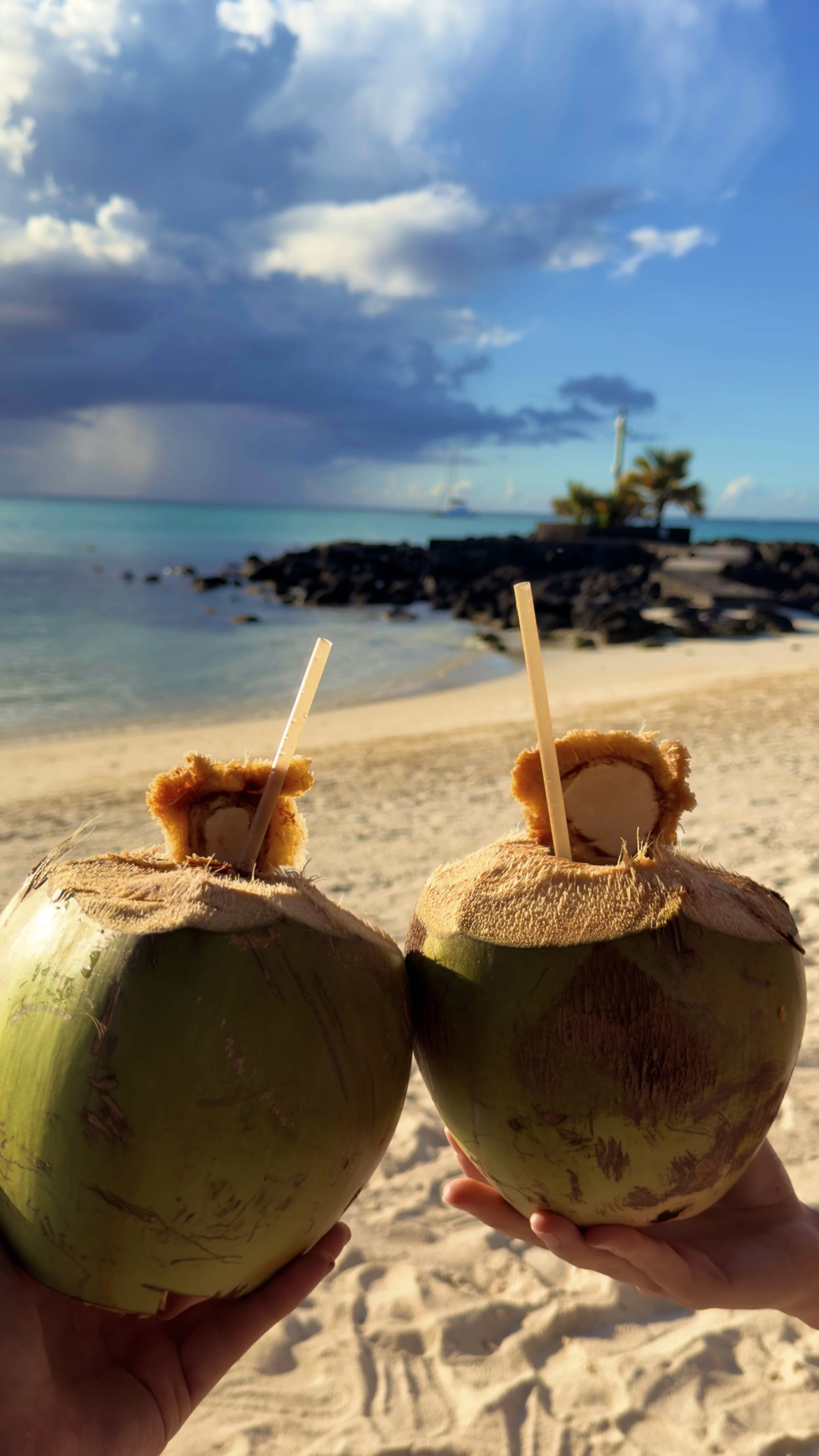 beach at royal palm.jpg