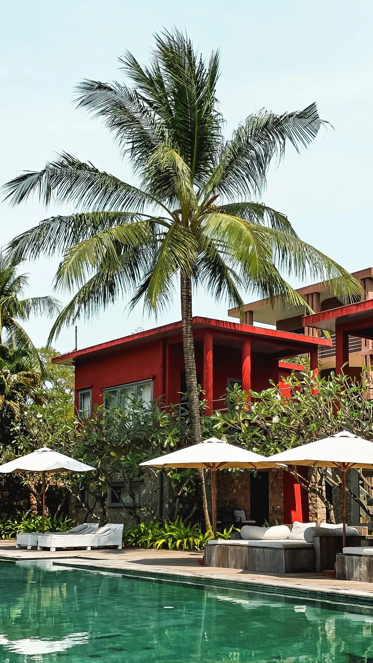 20260214_123744 (1).jpg