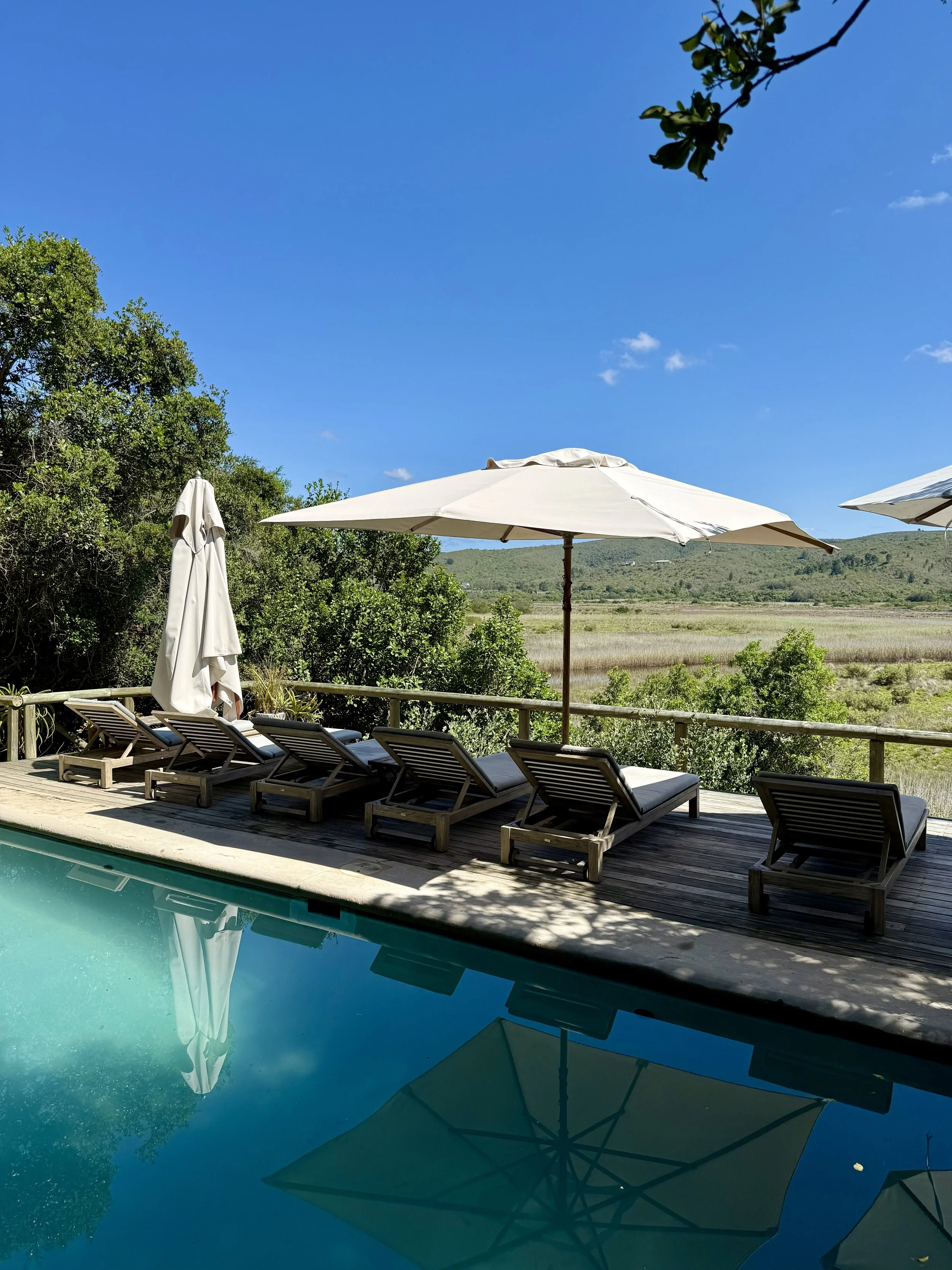 Emily Moon River Lodge , Plettenberg Bay, South Africa: Where the Garden Route Feels Wild, Romantic, and Wonderfully Unscripted