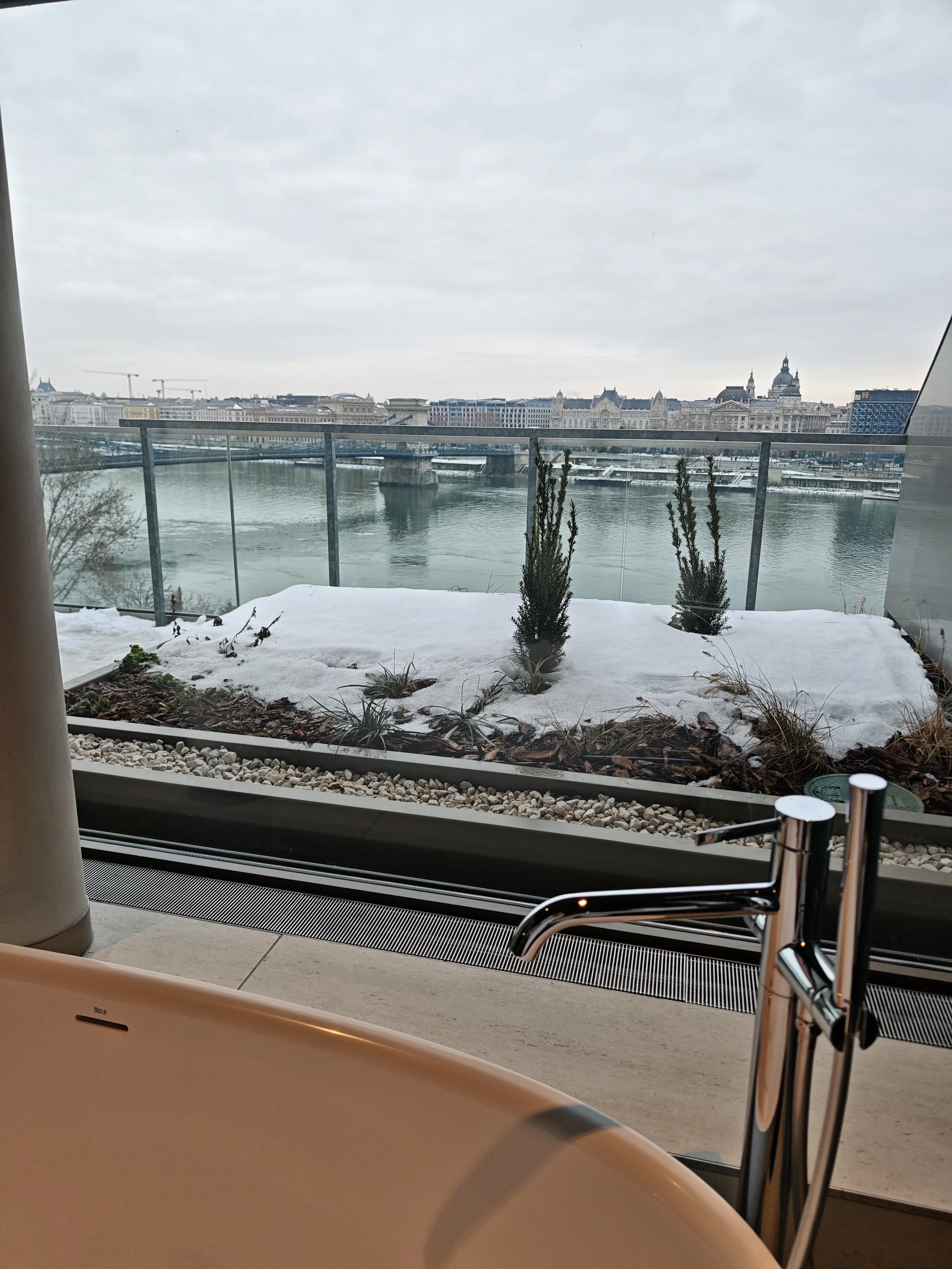 IMG_20260117_091426.jpg
