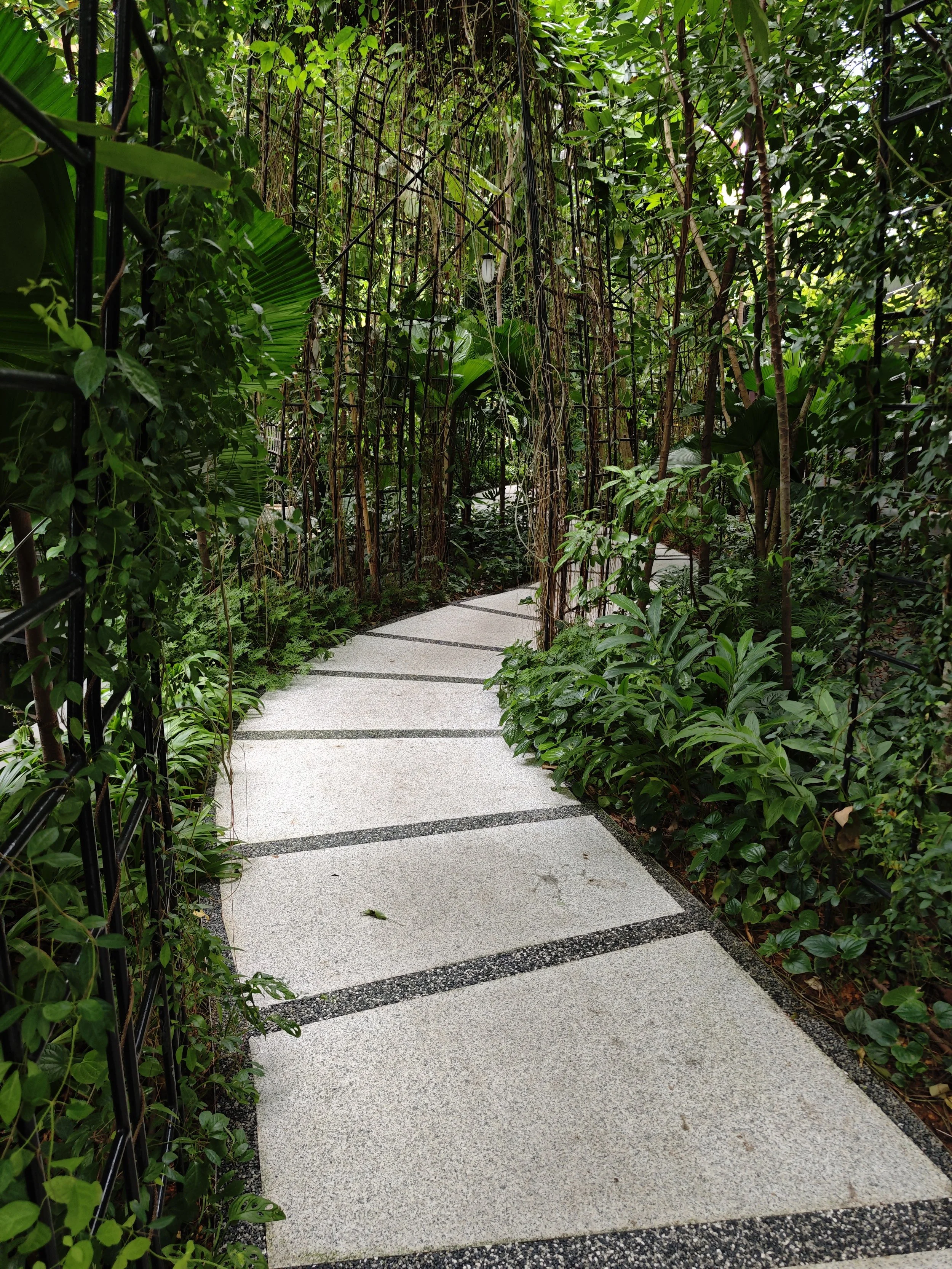 MVIMG_20260204_090245.jpg