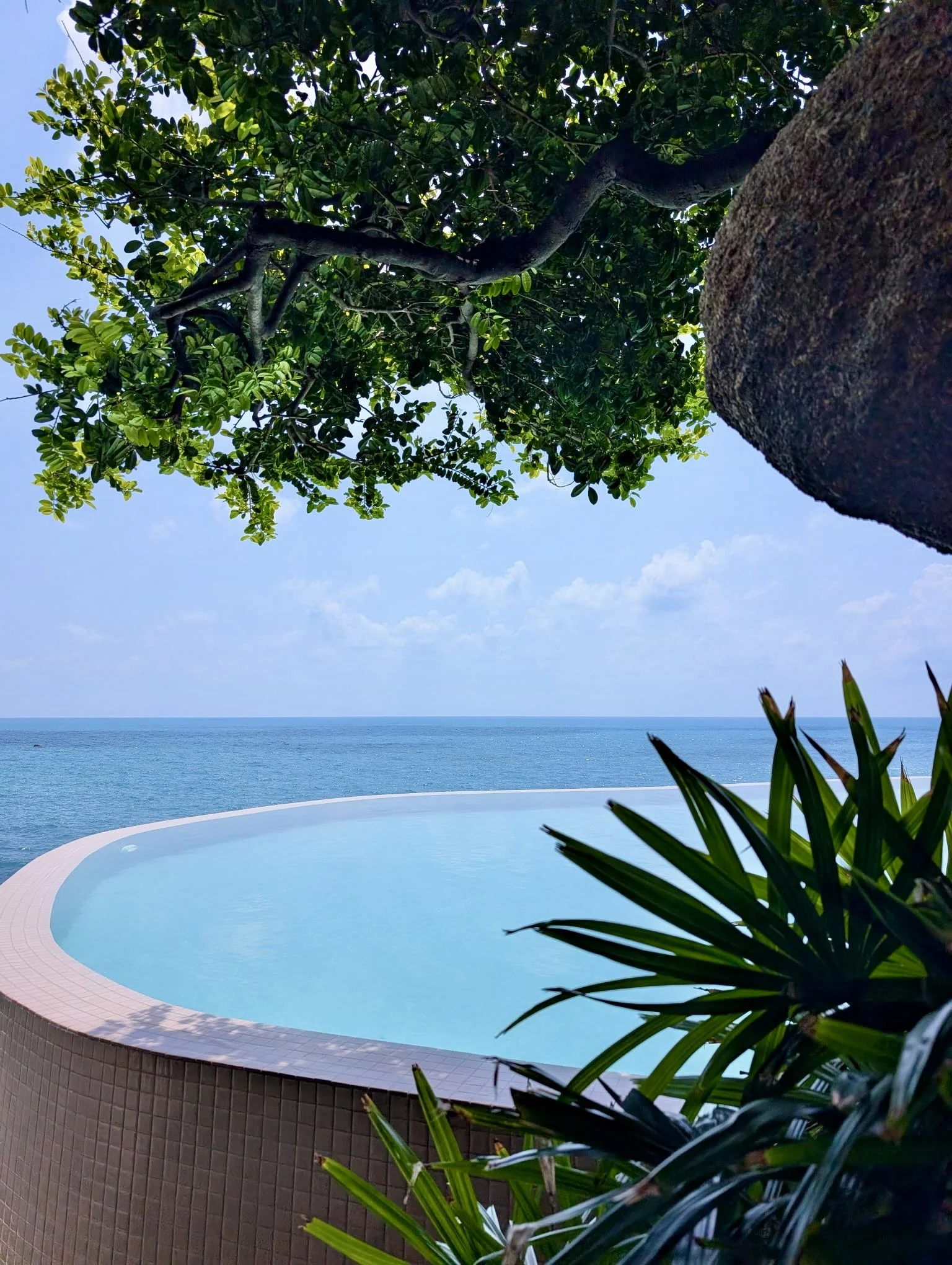 Main Pool.jpg