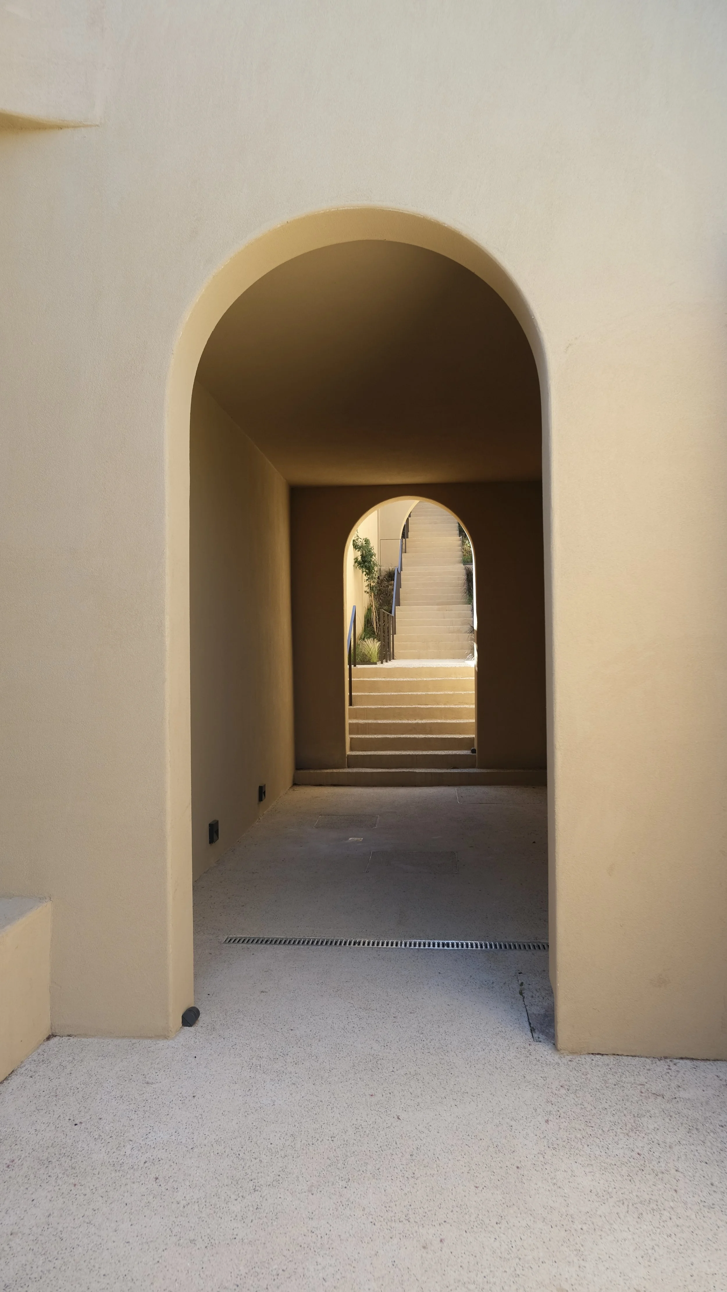 DSCF7690.jpg