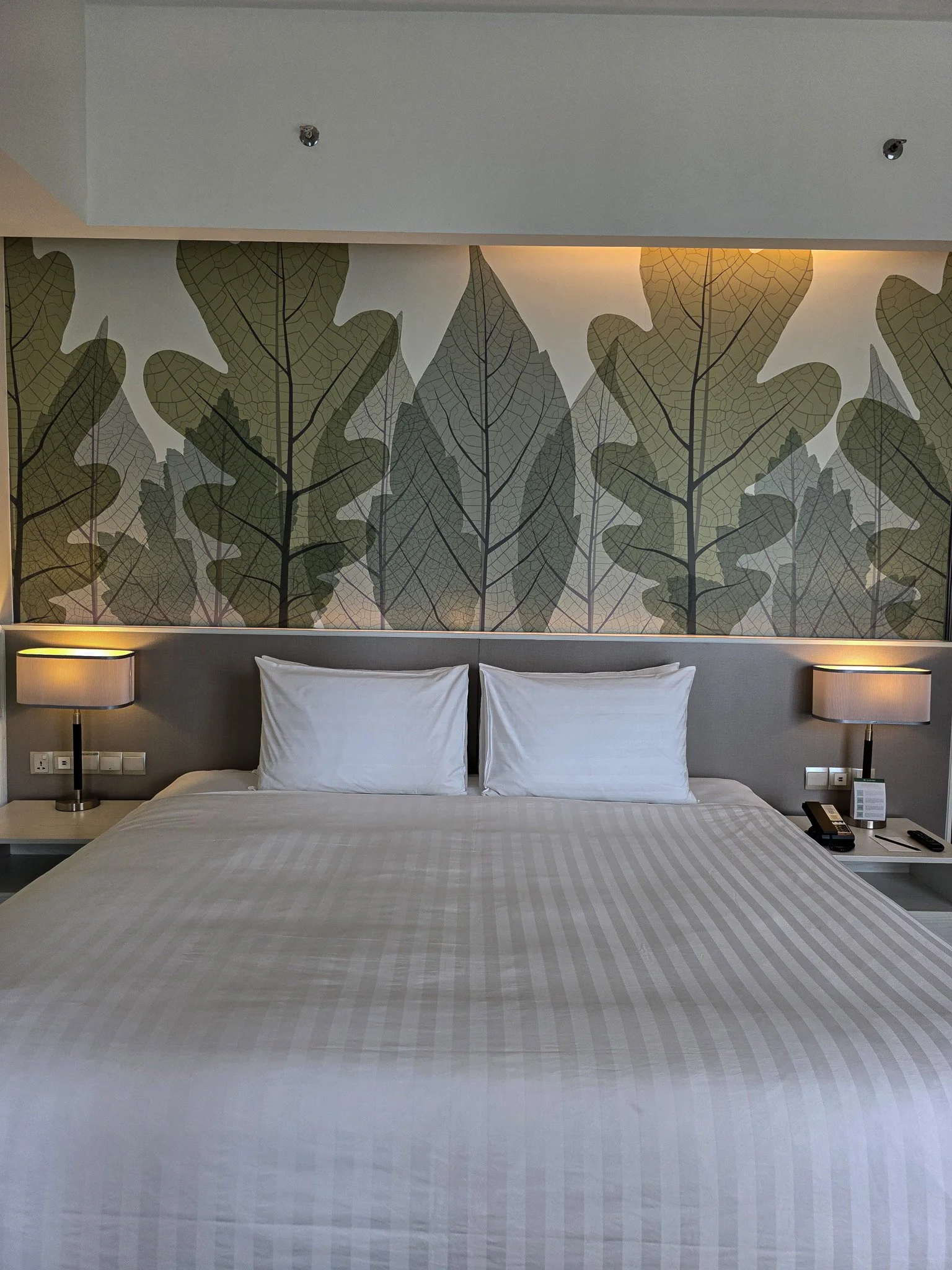 Room-8.jpg