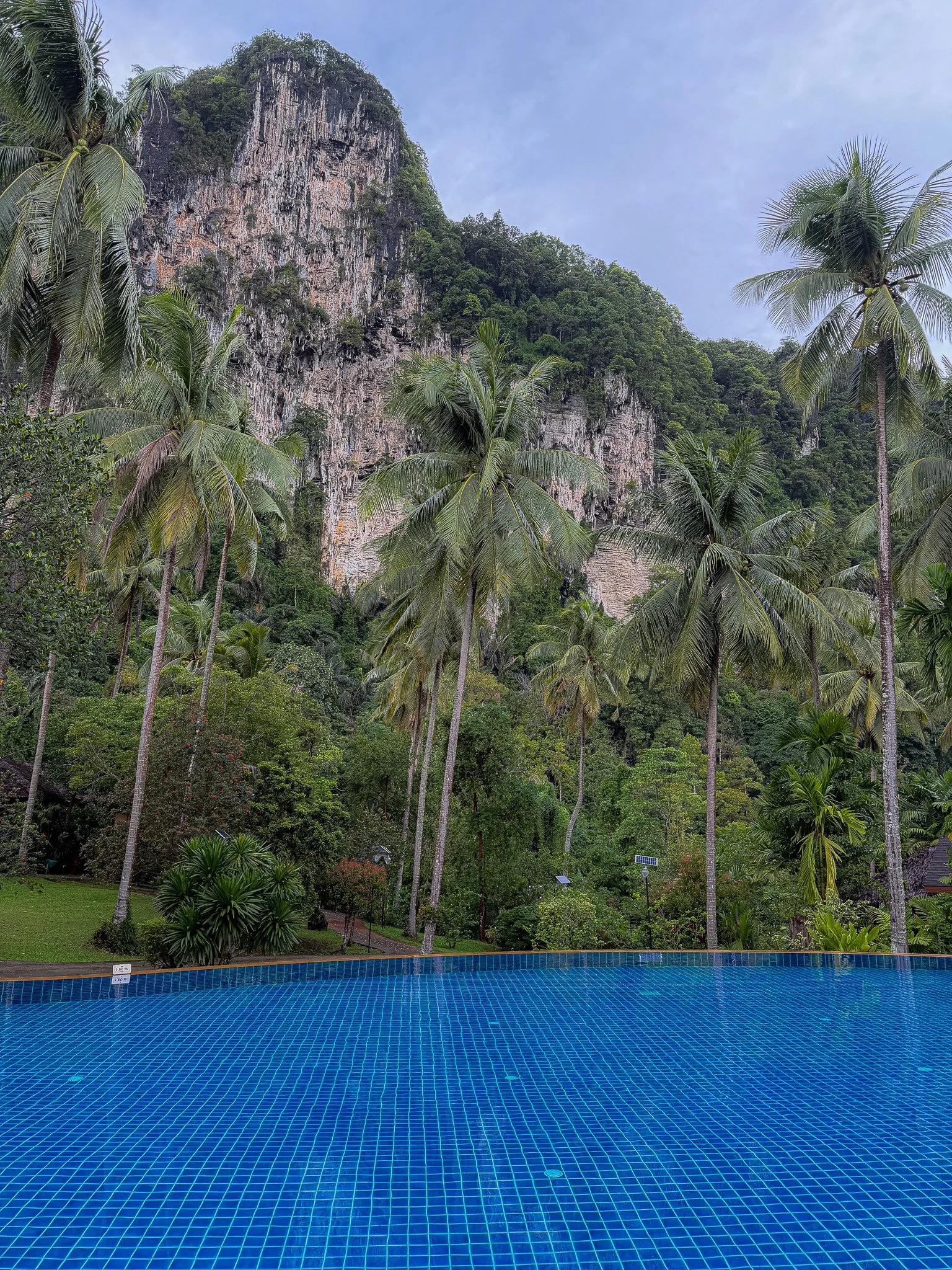 Swimming pool.jpg