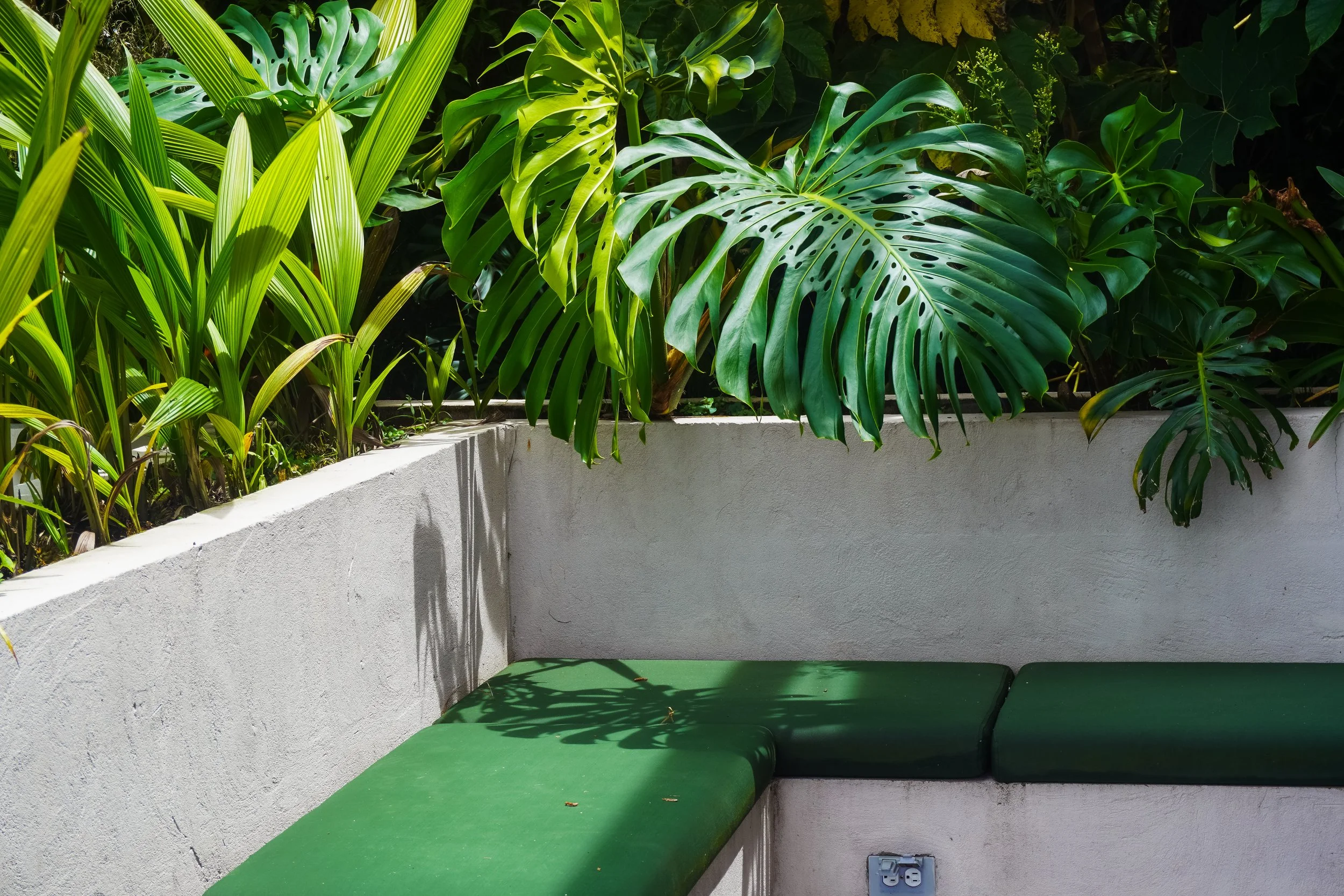 Pool 1.JPG
