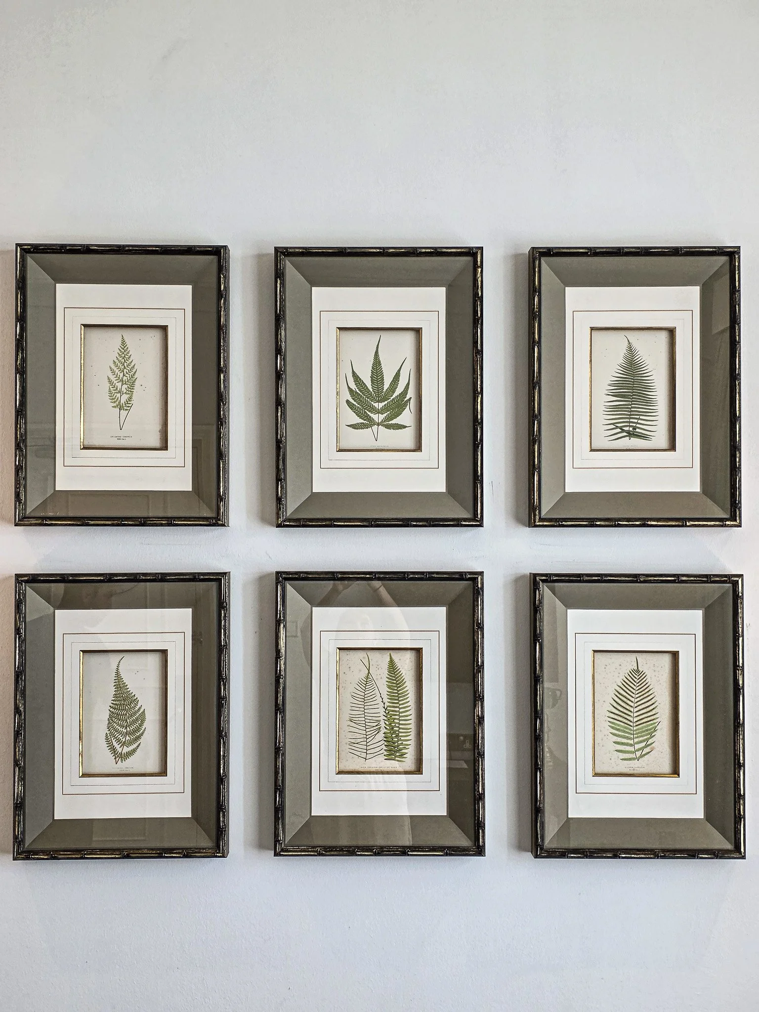 Room-1.jpg