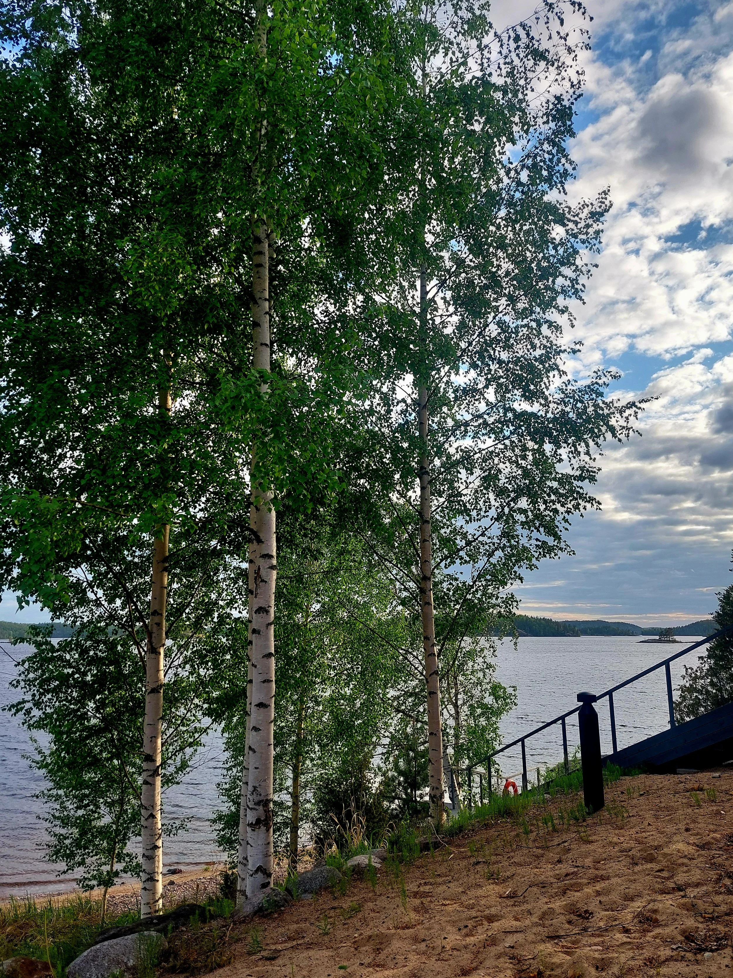 20260525_195910.jpg