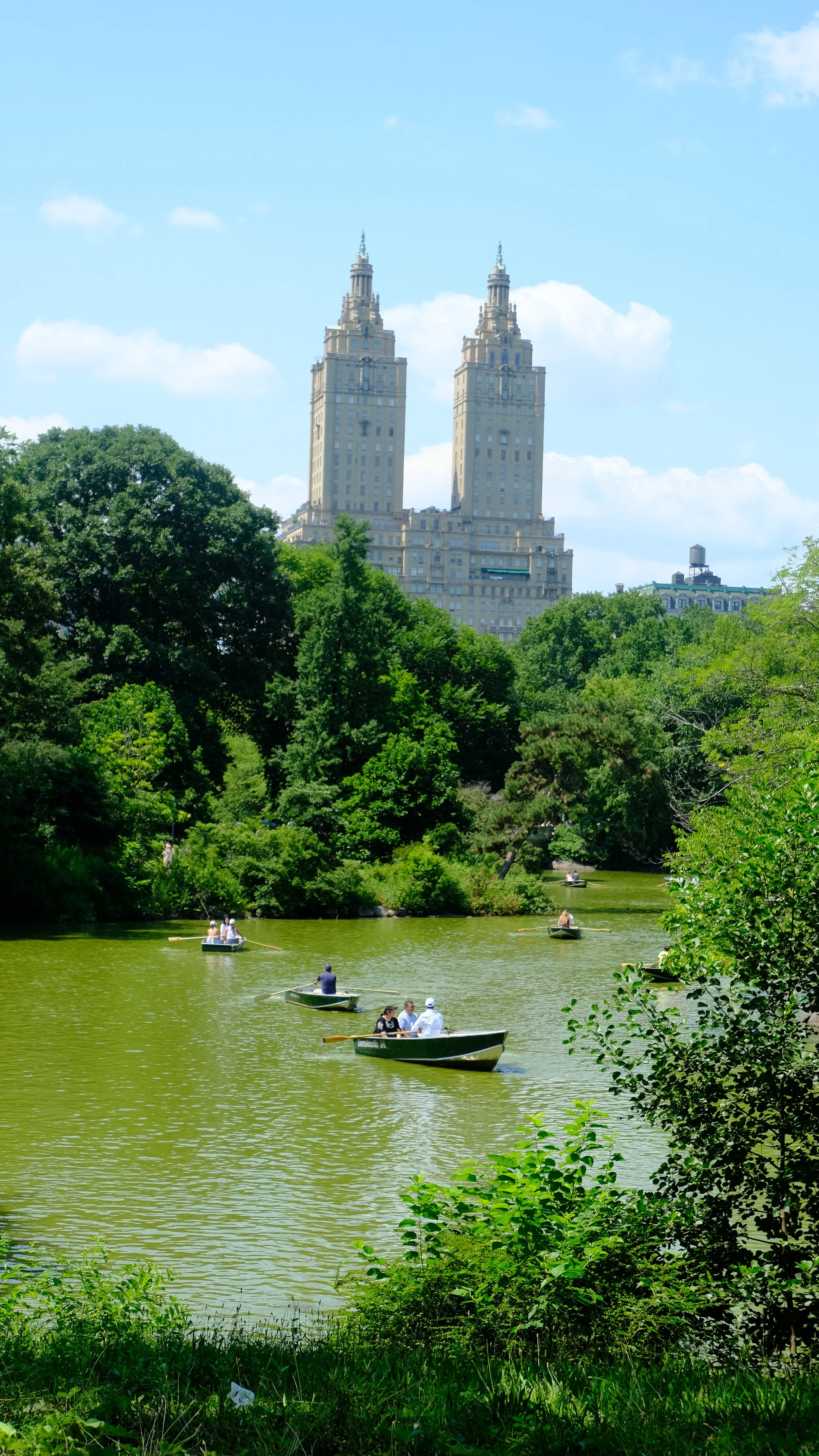 DSCF8913.jpg
