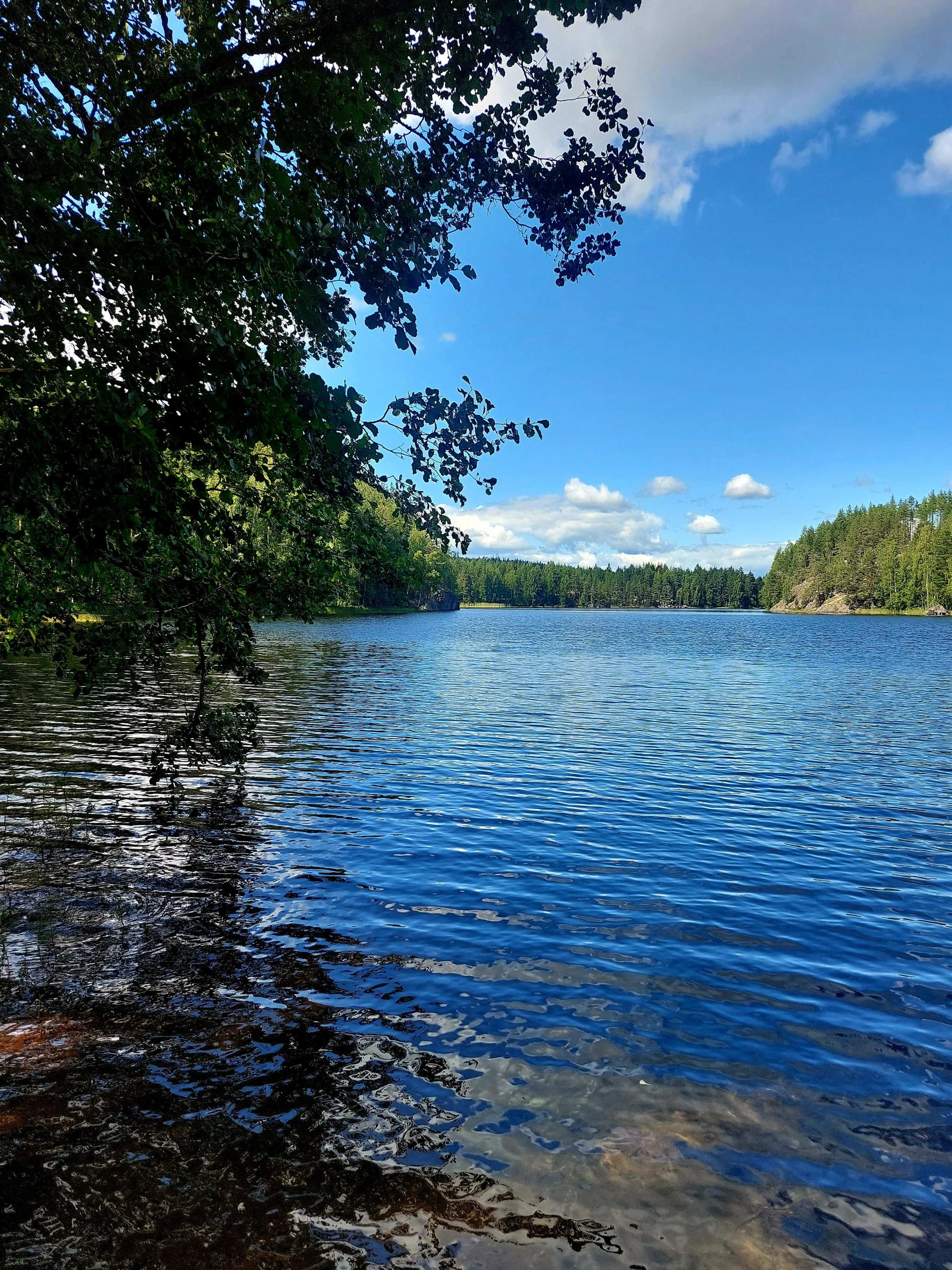 20260729_142943.jpg