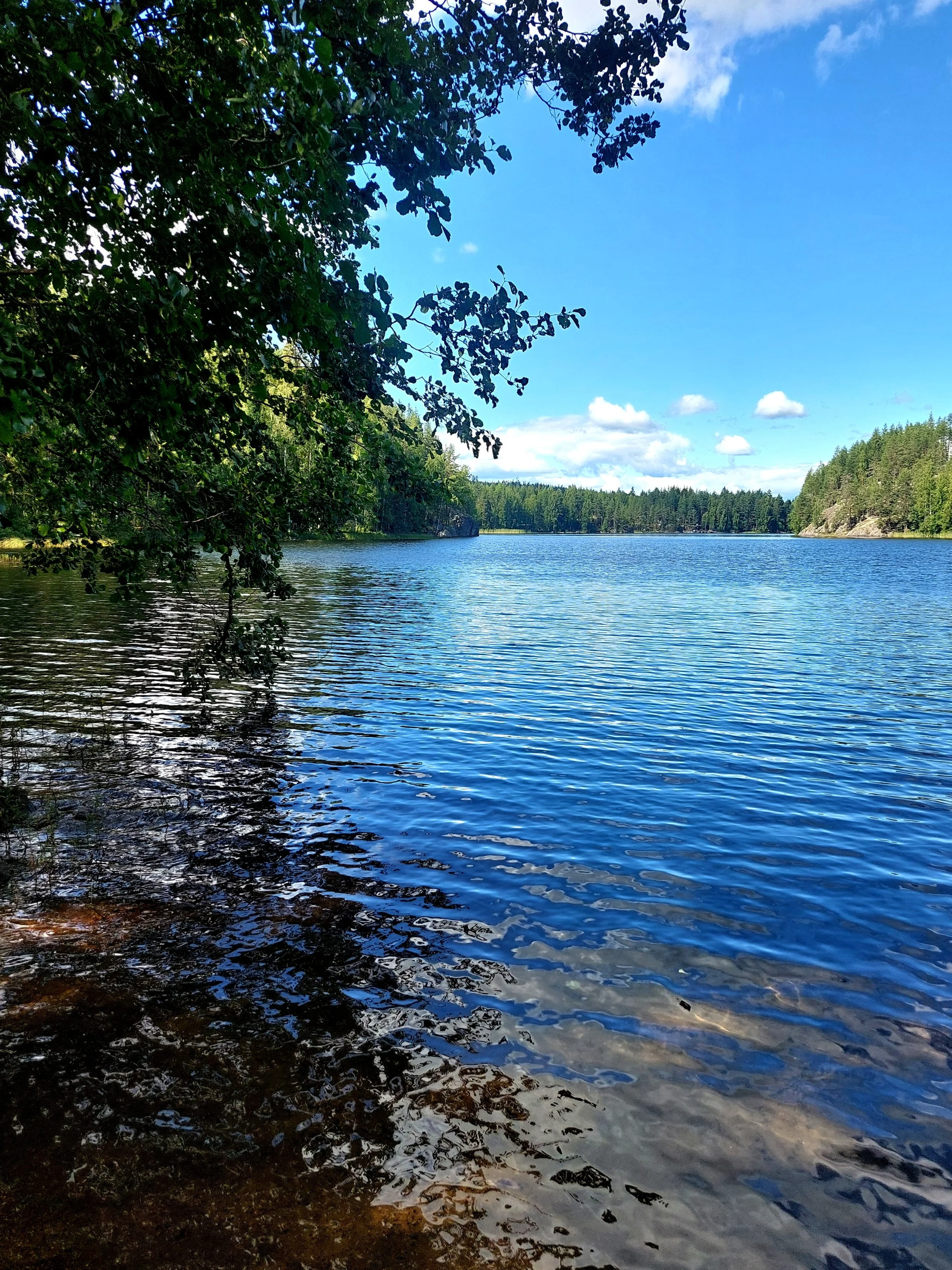 20260729_142947.jpg