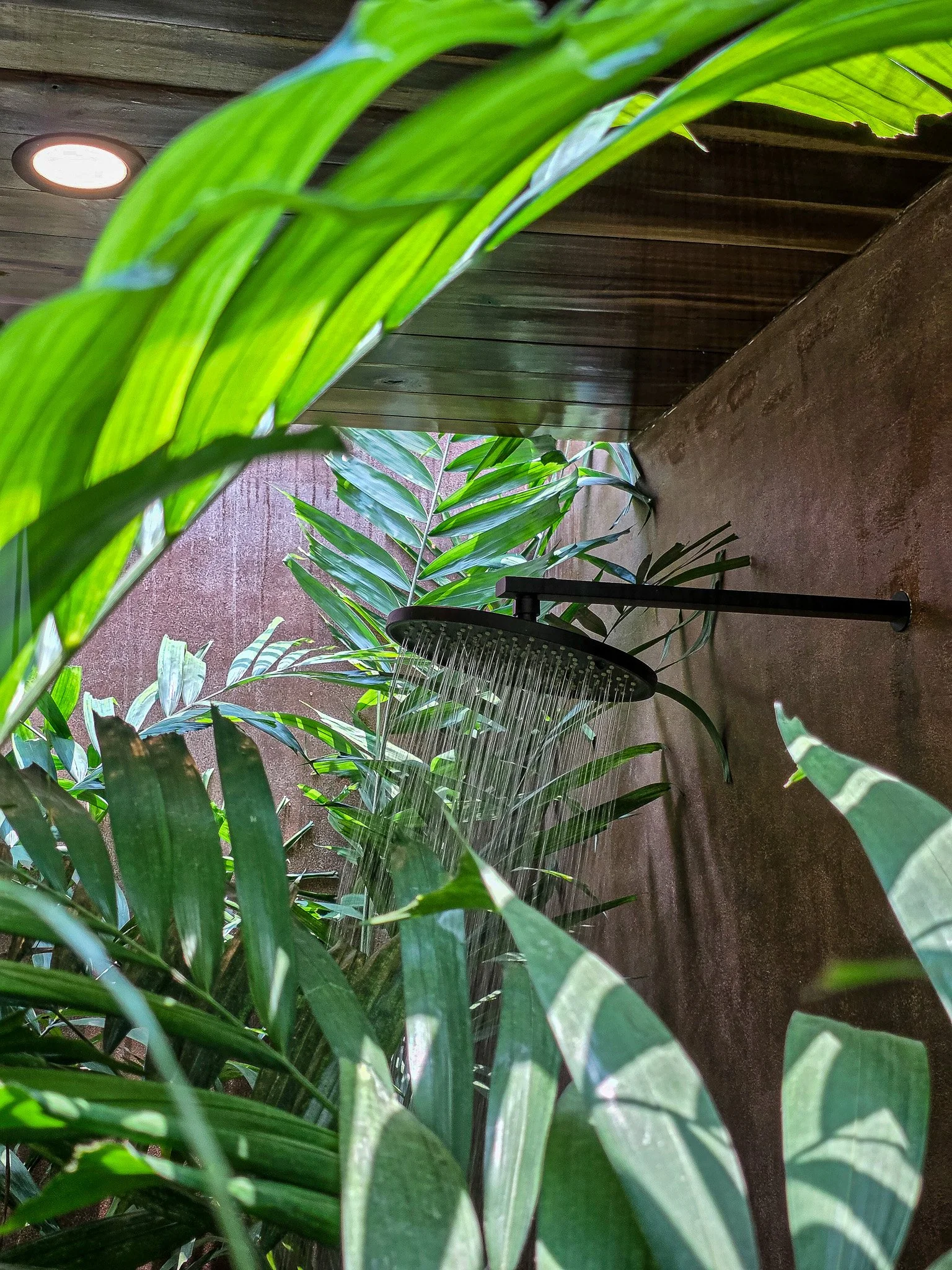 Bathroom 2.jpg