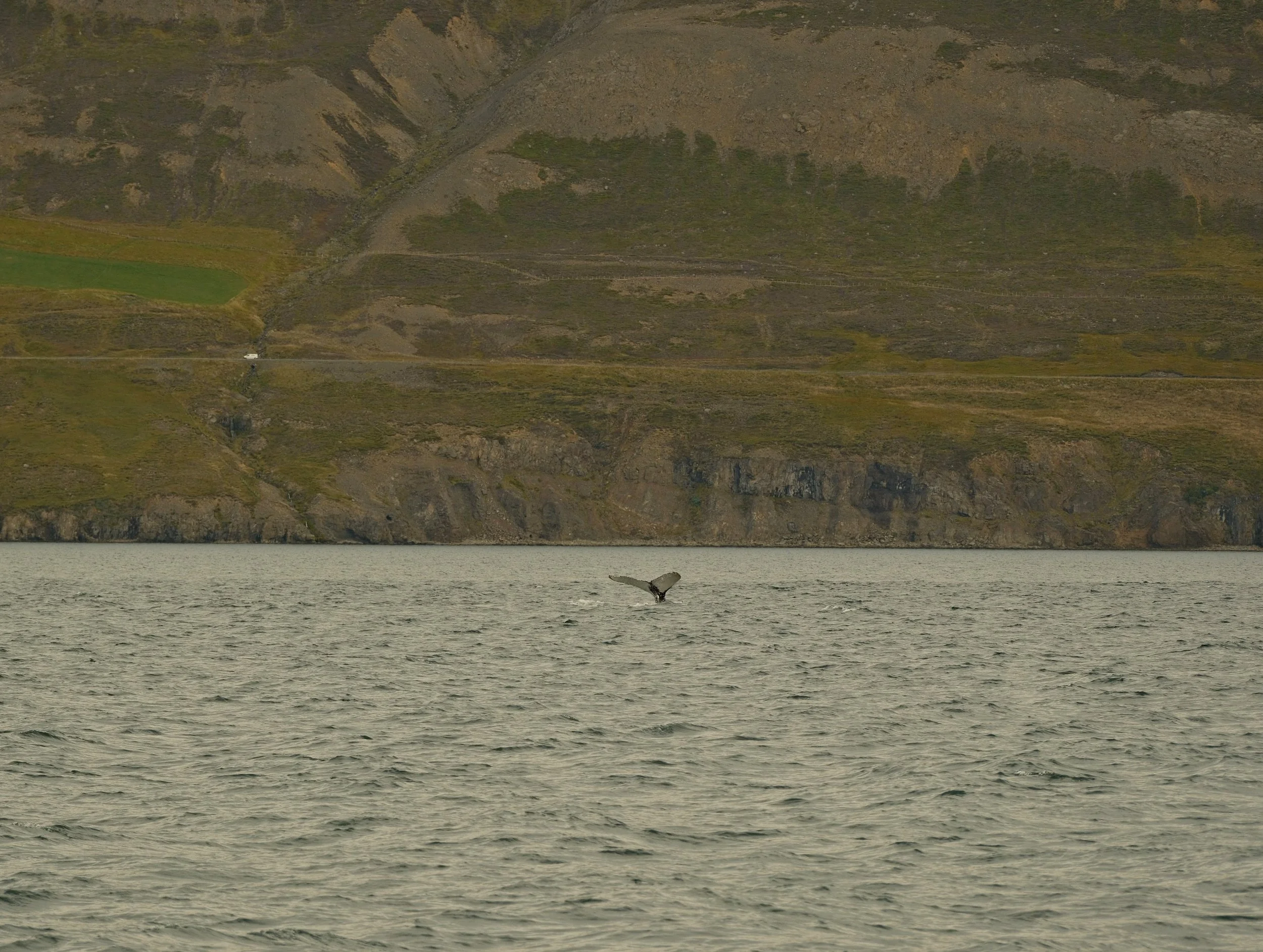 DSCF1482.jpg