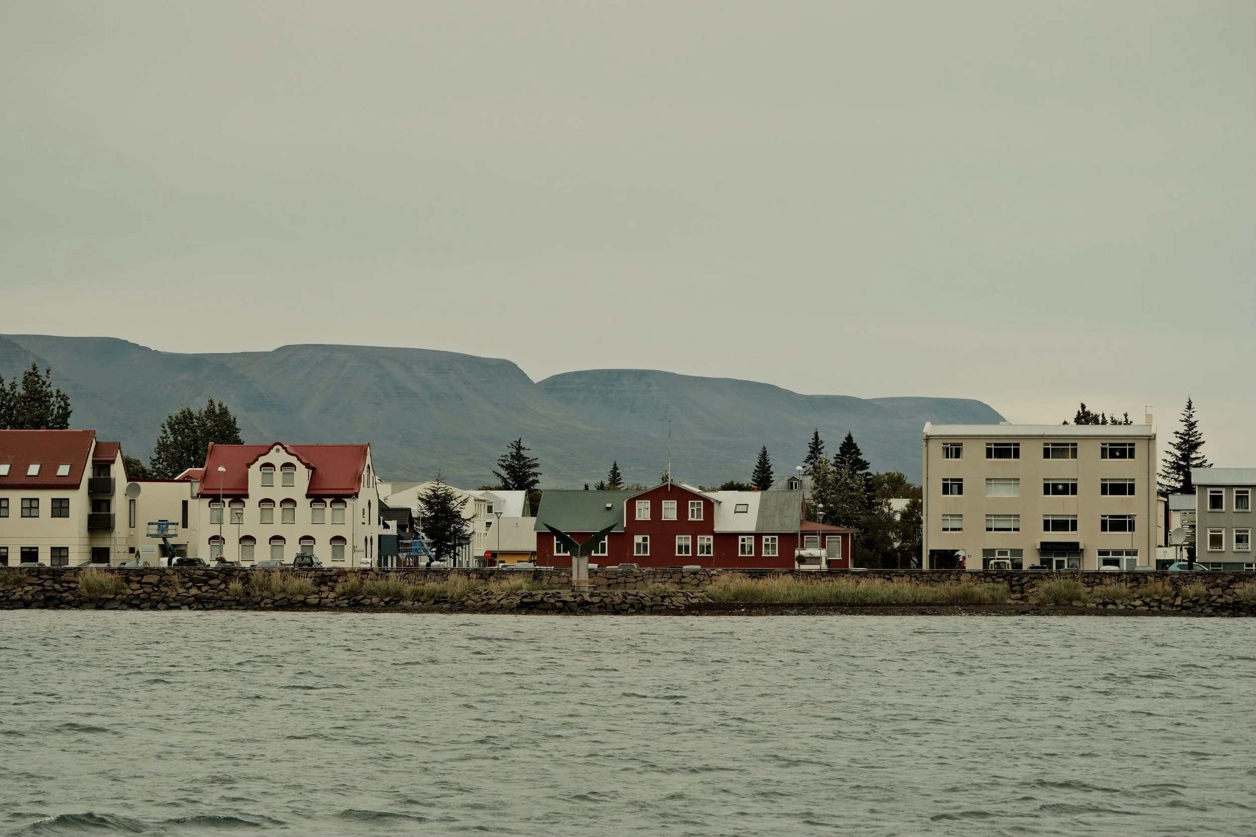 DSCF1451.jpg