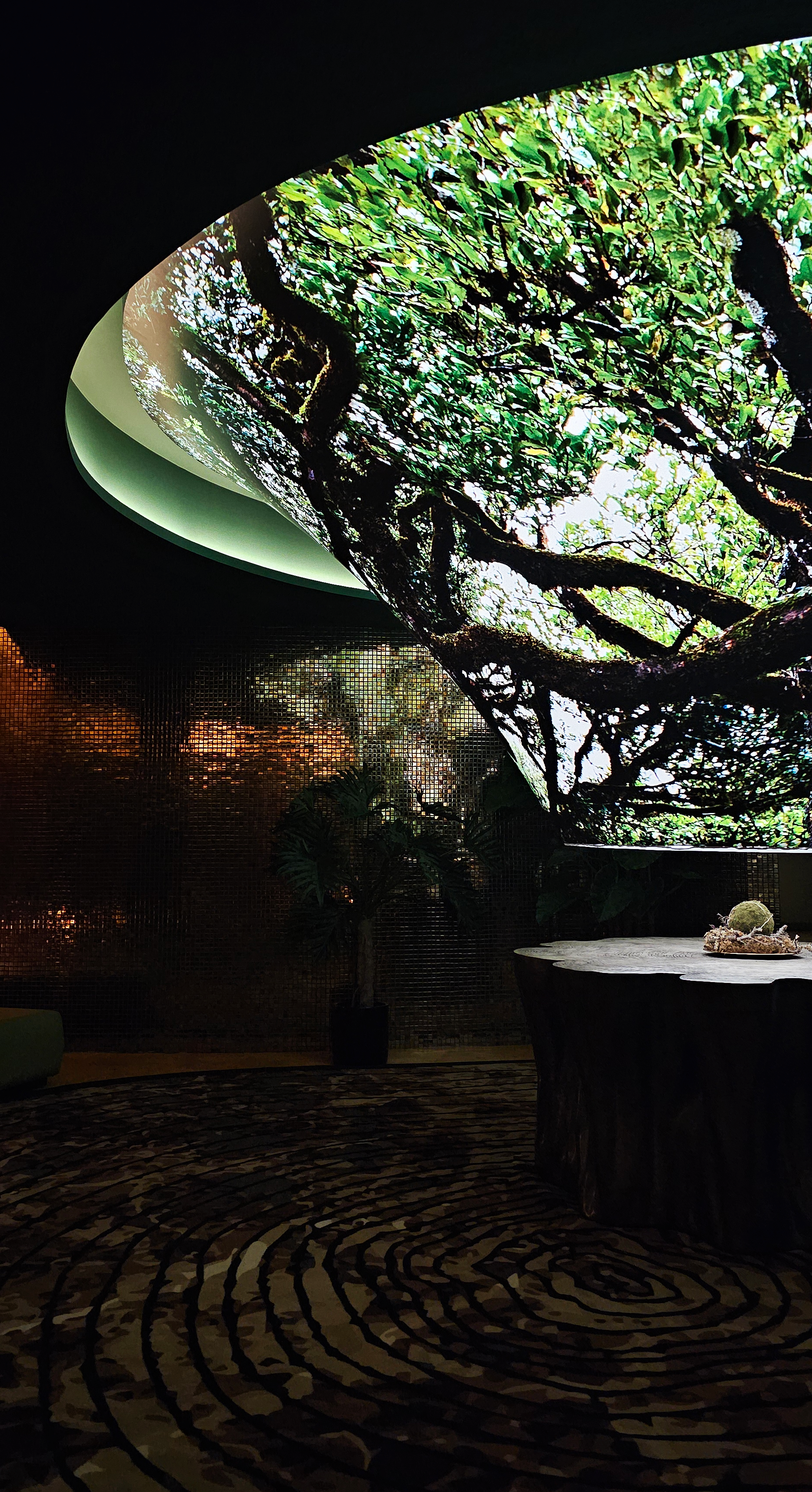 Laurea Spa Relax Area 1.png