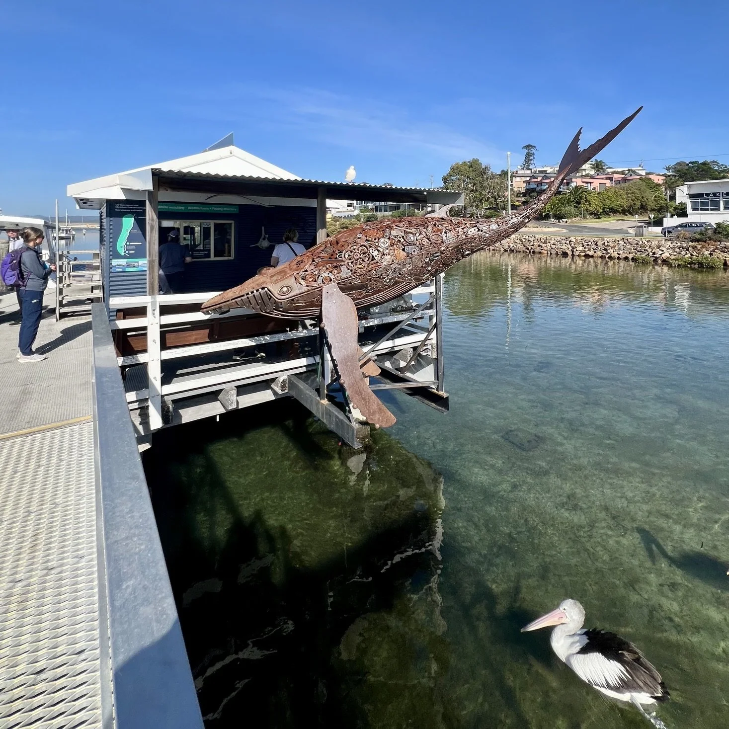 2026 Delegation Trip: Whale Watching Tour