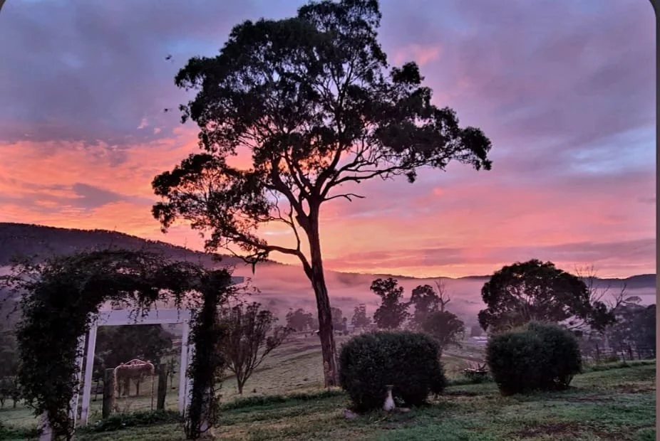 2026 Delegation Trip: Home Stay Sunrise