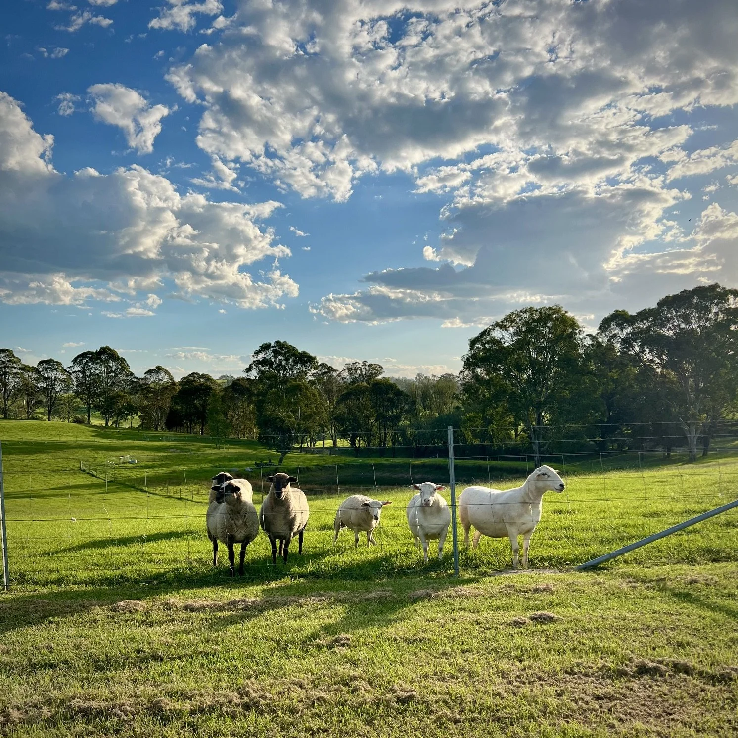 2026 Delegation Trip: Countryside View