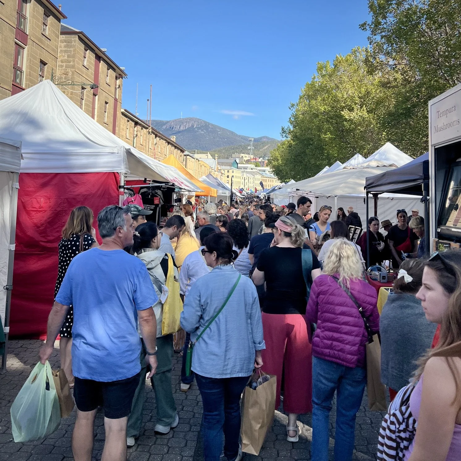 2026 Delegation Trip: Tasmania Pre-Trip Street Fair
