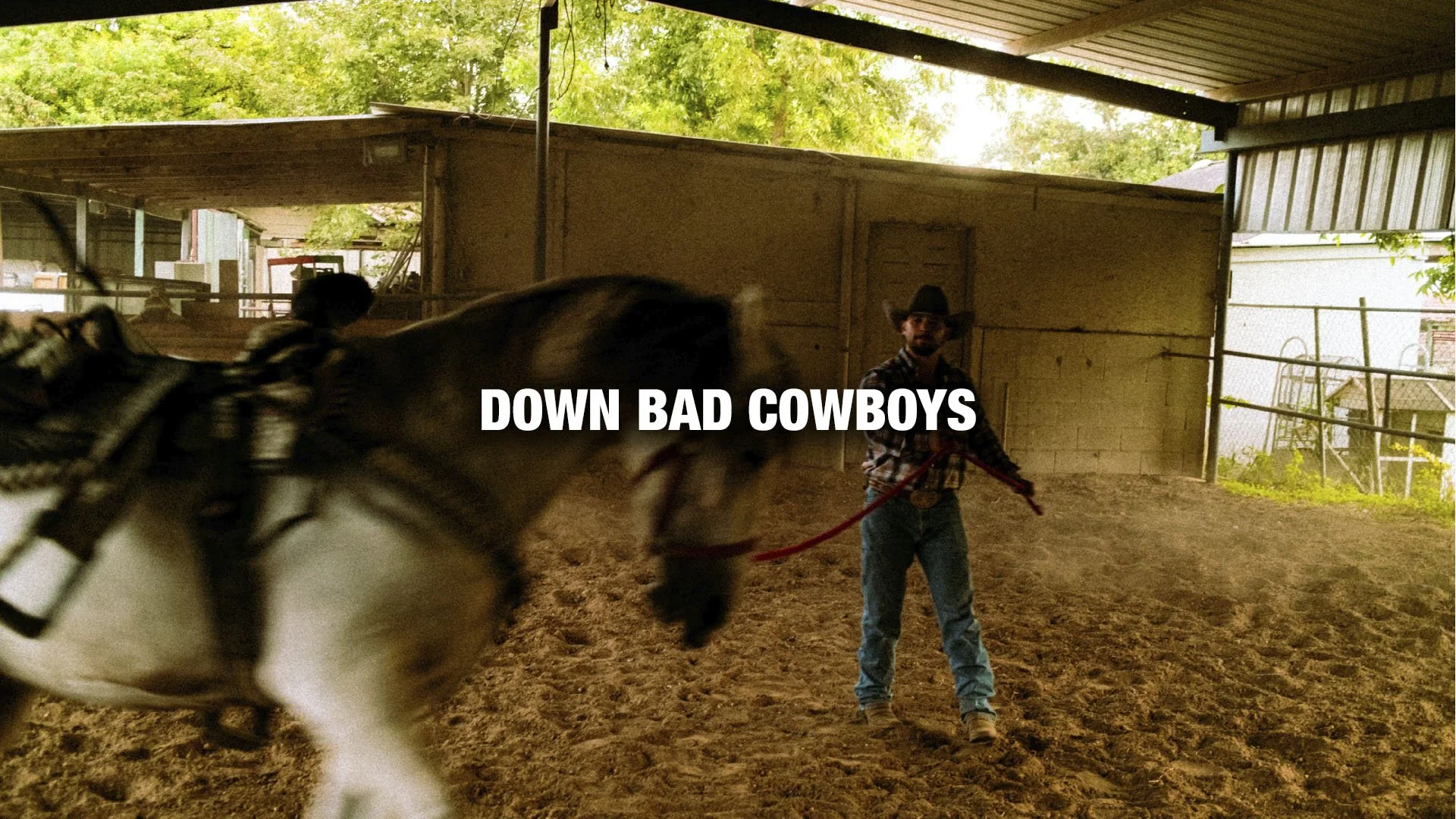 A person in cowboy attire, including a hat, holding a red lead rope, standing inside a covered outdoor arena with a horse. There is text overlay saying 'DOWN BAD COWBOYS'.