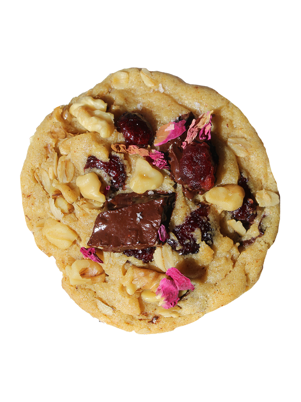 Cranberry Walnut Cookie