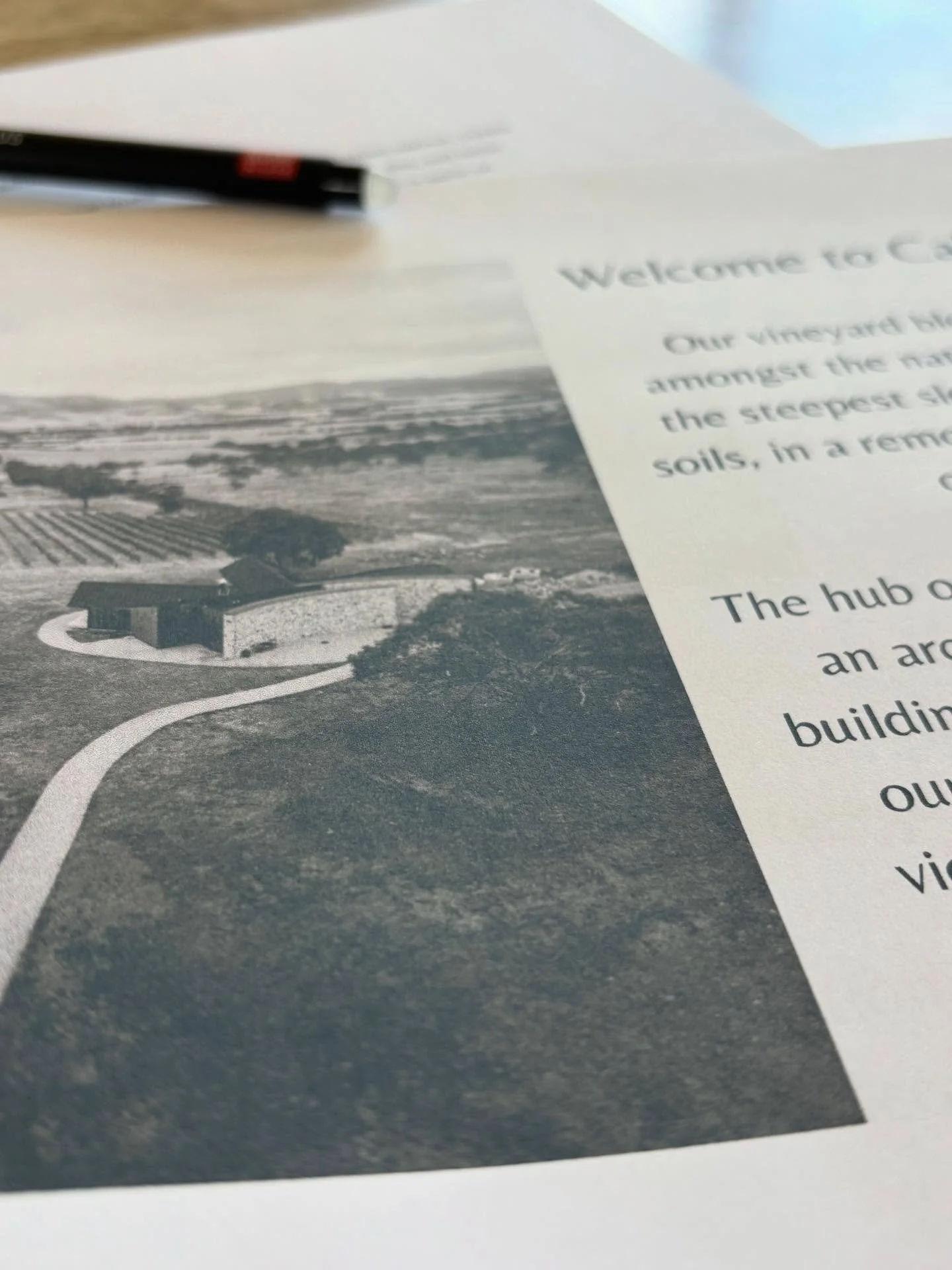 We have been busy putting together our functions packages at Caledon and still have some availability in December (Monday the 22nd anyone?).

If you haven&rsquo;t booked your Christmas work lunch yet, don&rsquo;t tell your boss, jump on our website a