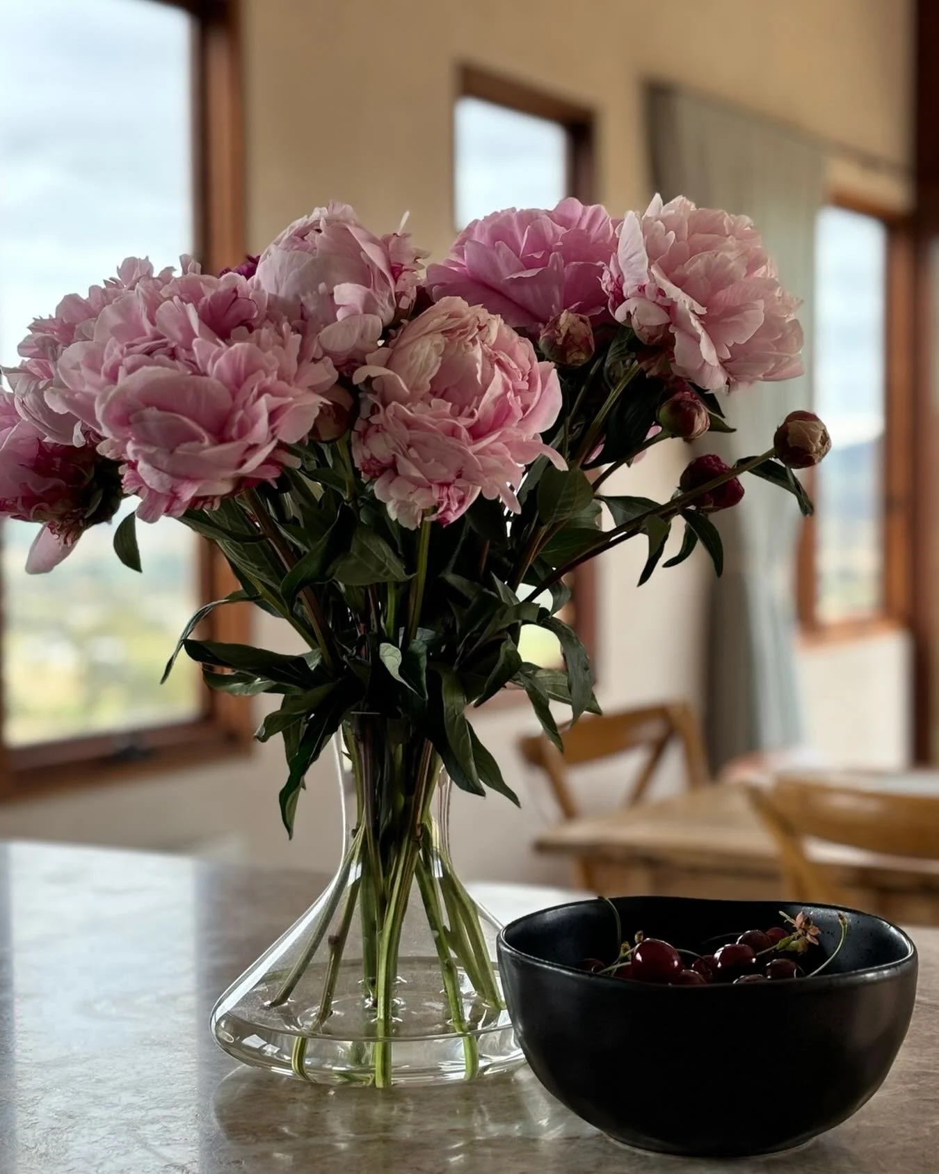 Our neighbours @richmond.peonies.and.cherries are opening their gates on Saturday for visitors to pick their own beautiful peonies.

If you were lucky enough to get a ticket (it&rsquo;s sold out), call in to Caledon across the road for a cheeky wine 