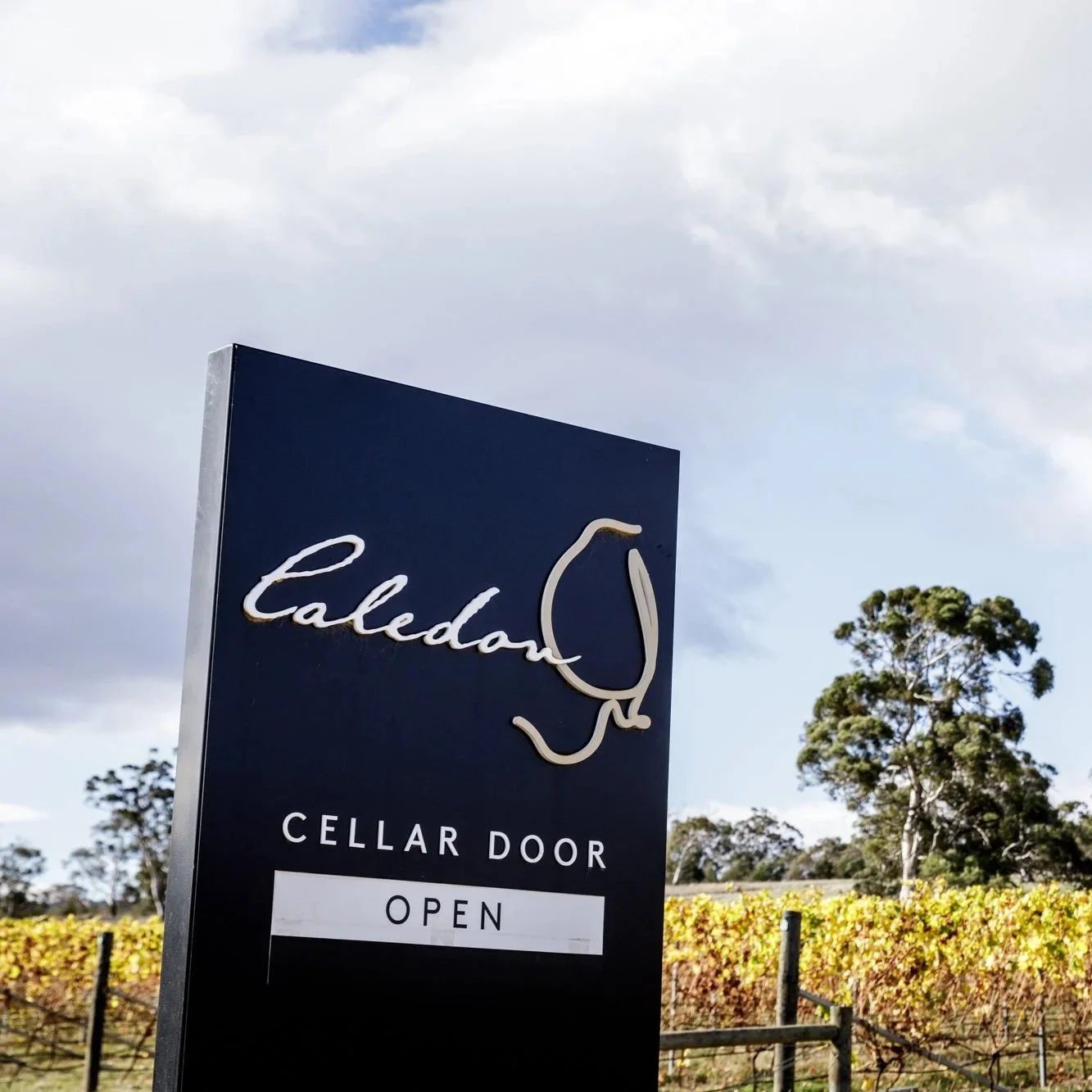 Pinot Noir Food Pairing: What to Eat With a Cool Climate Tasmanian Red