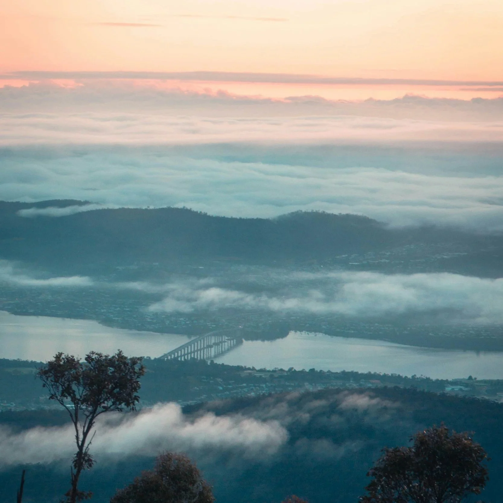 From Bud to Bottle: A Year in the Life of a Coal River Valley Vineyard