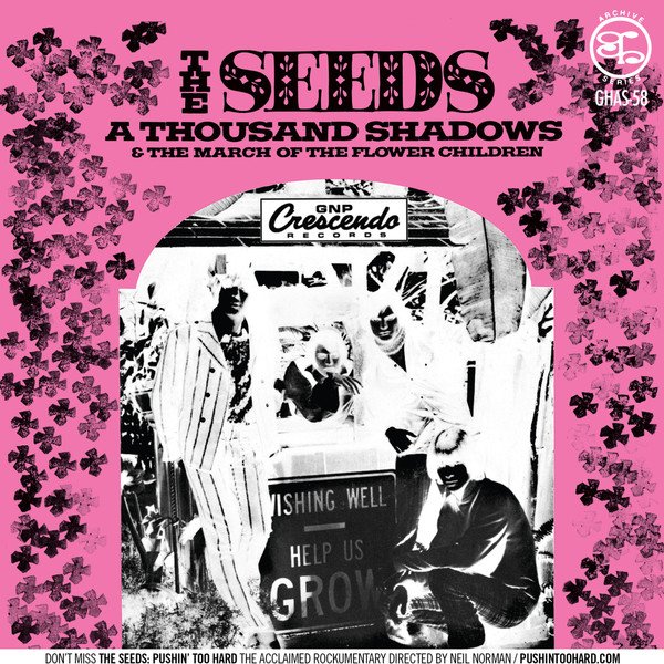a-thousand-shadows.jpg
