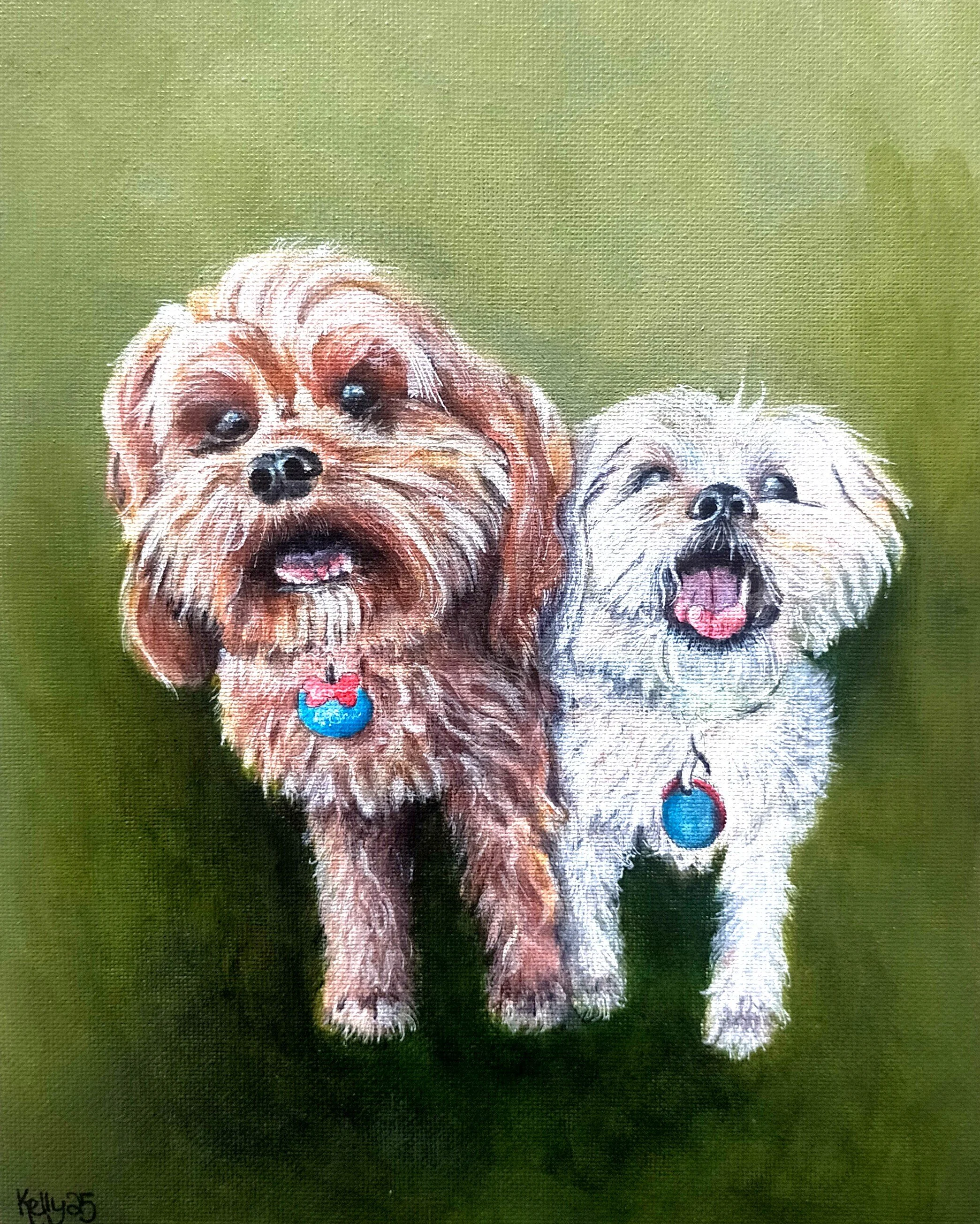 Painting of two Cavoodle dogs, one with brown fur and the other with white fur, standing on green grass and looking up.