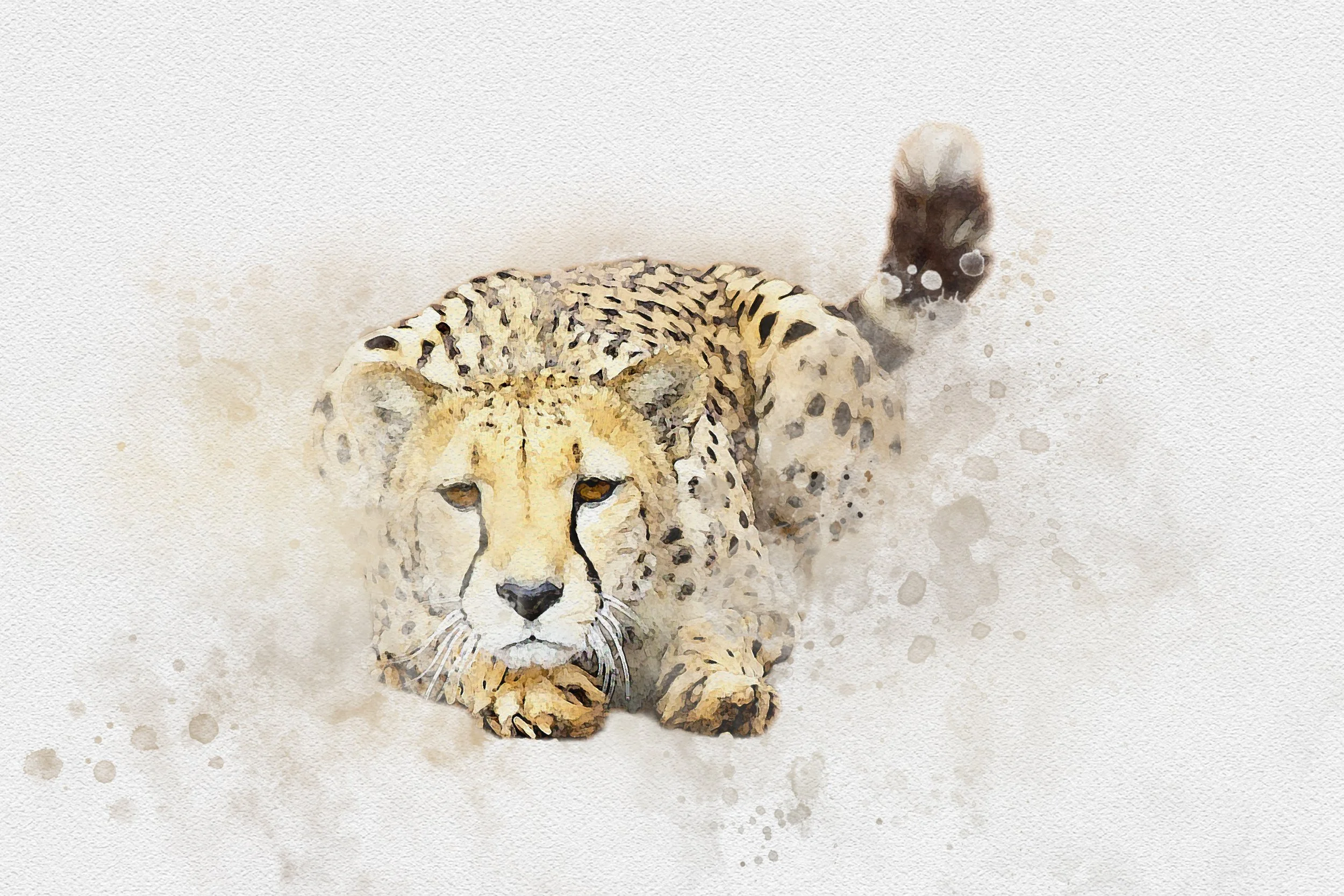 BY8R2045.jpg