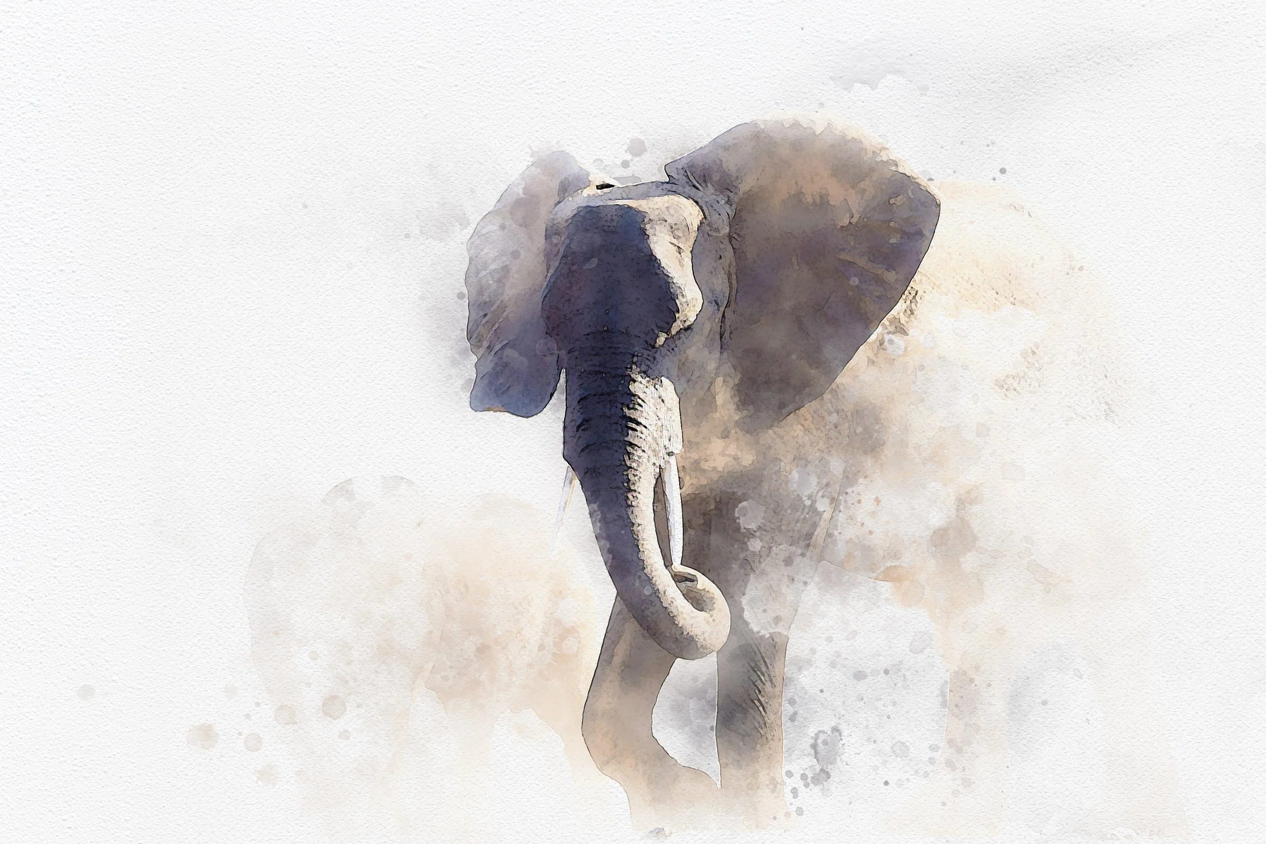Elephant 1 copy.jpg