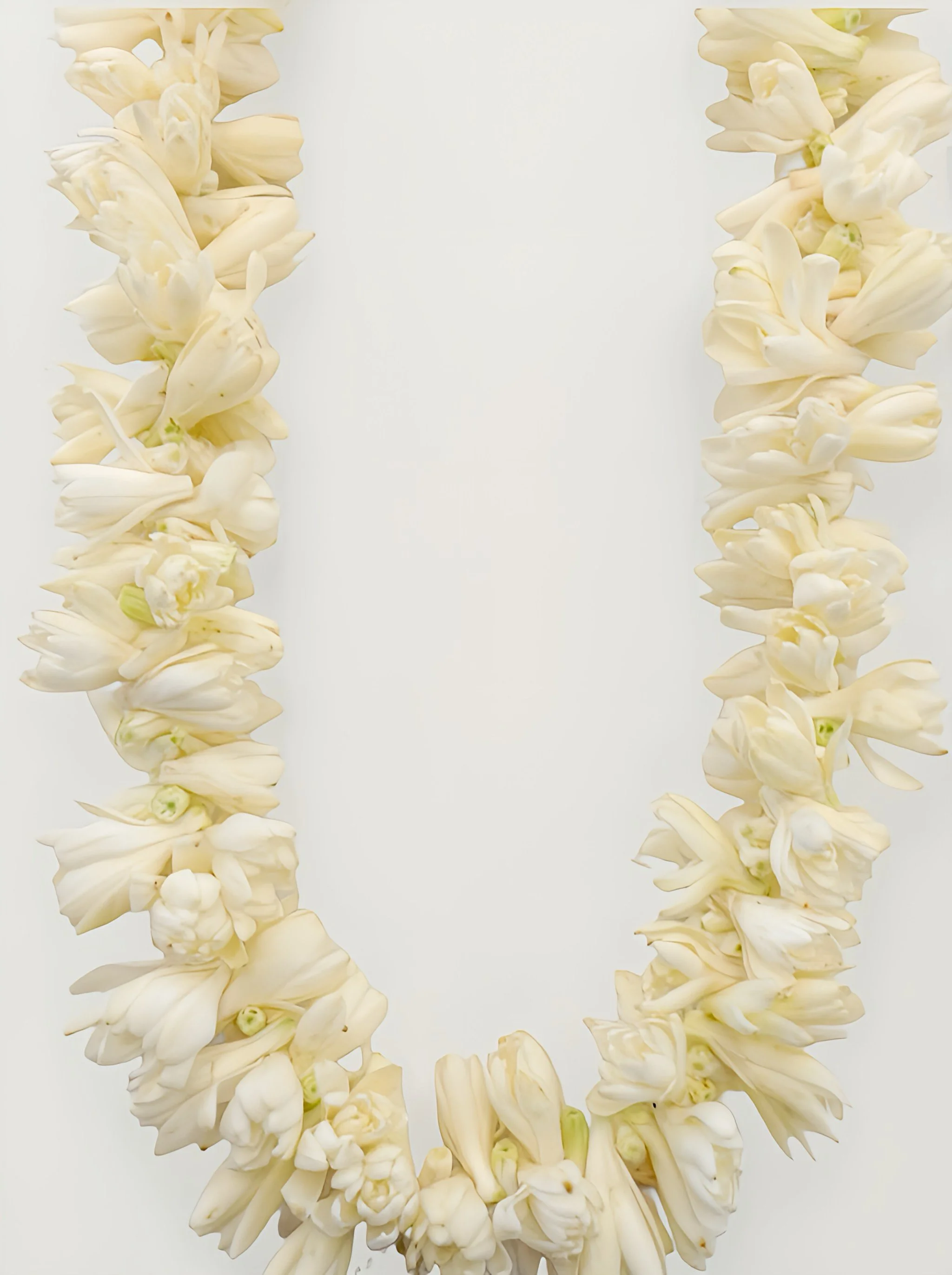 Double Tuberose