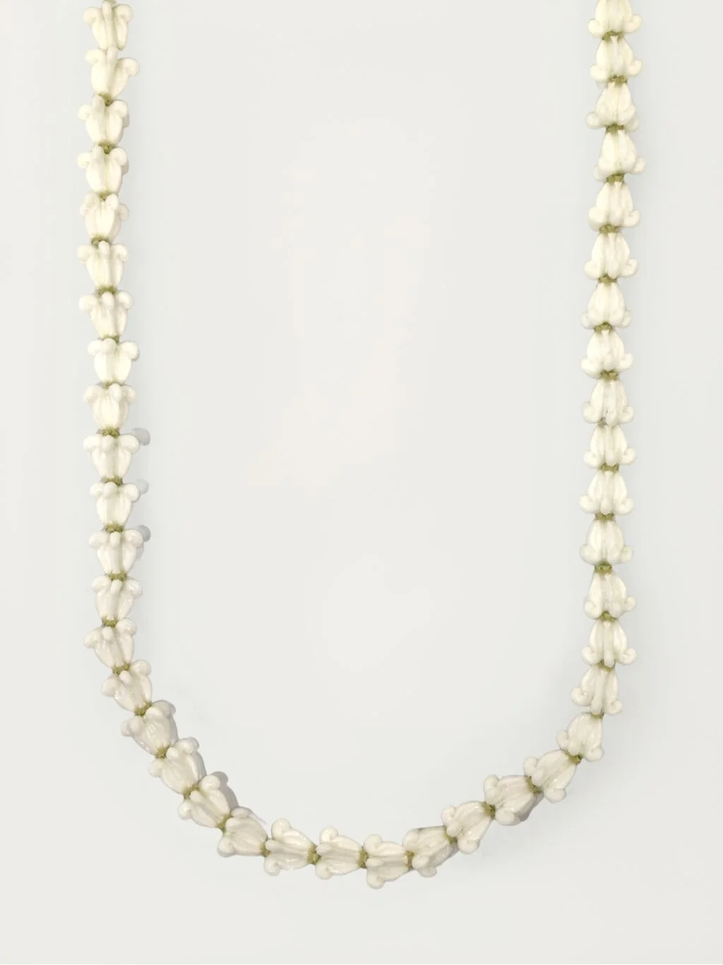 Single Strand Shelled White