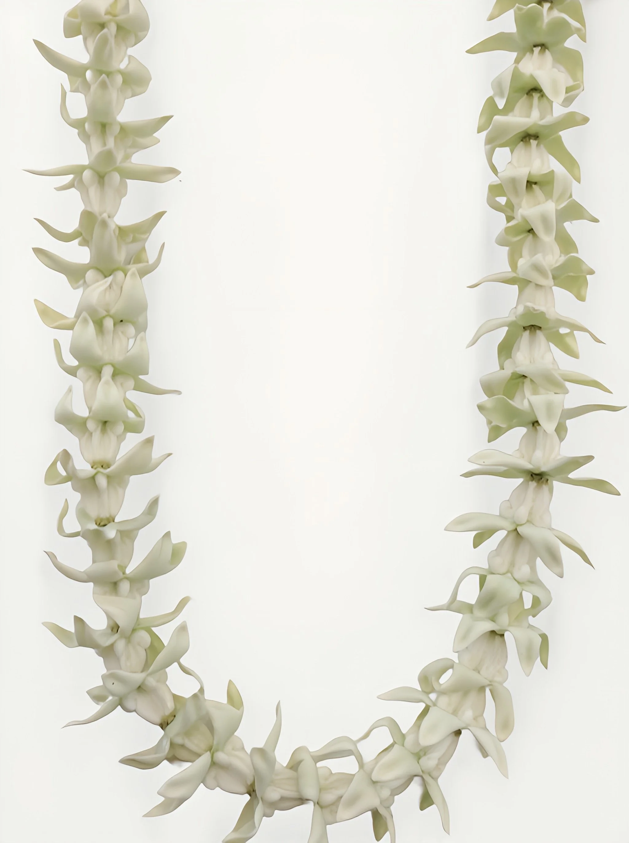 Single Strand White