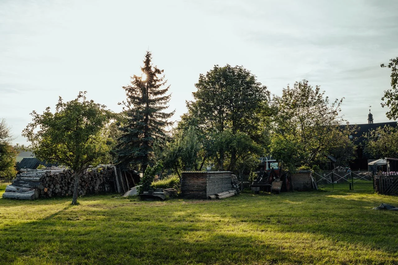 Hidden Risks of Overgrown Trees for Media, PA Homes