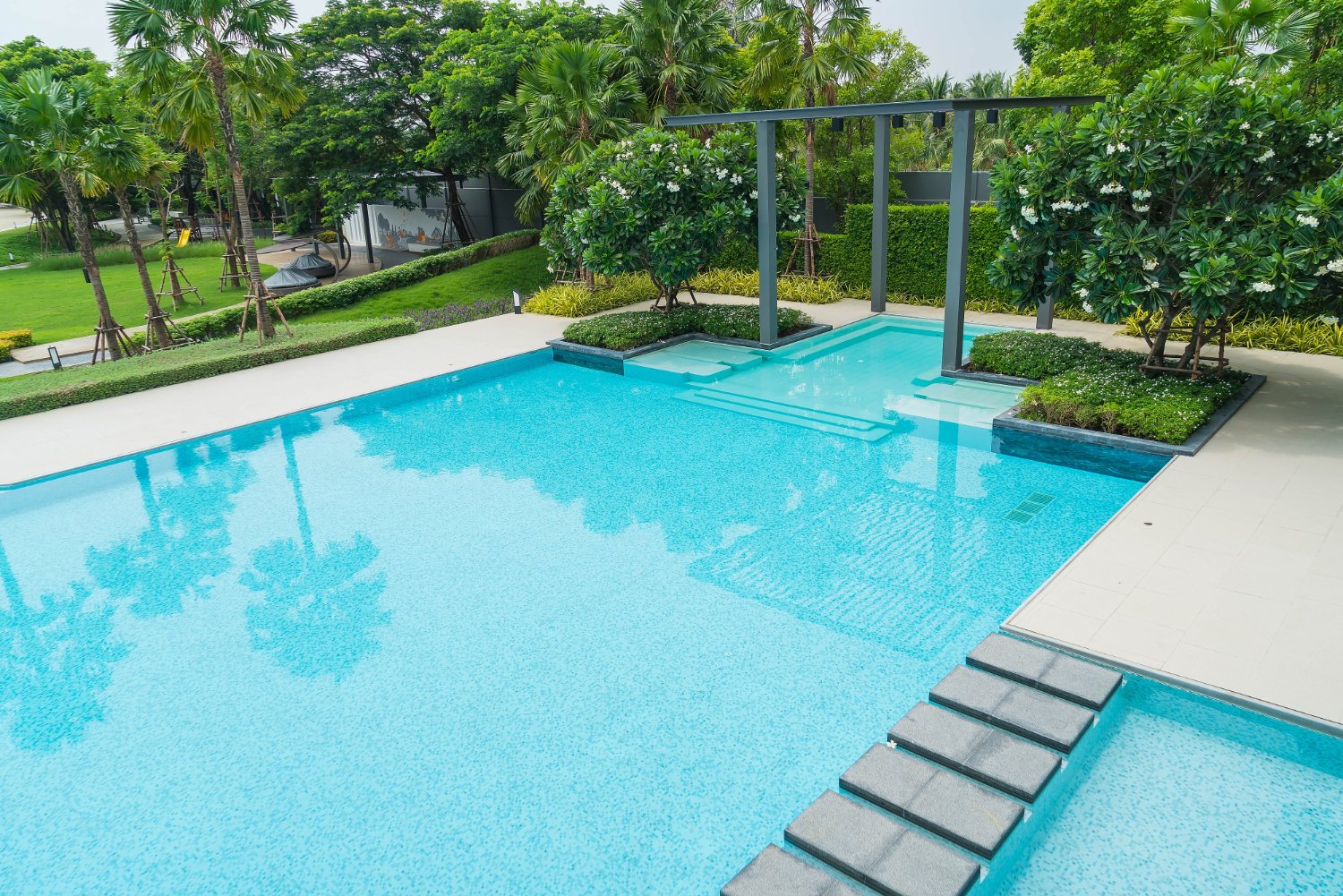 Evaluating Tree Risk Around Pools and Patios in Media, PA