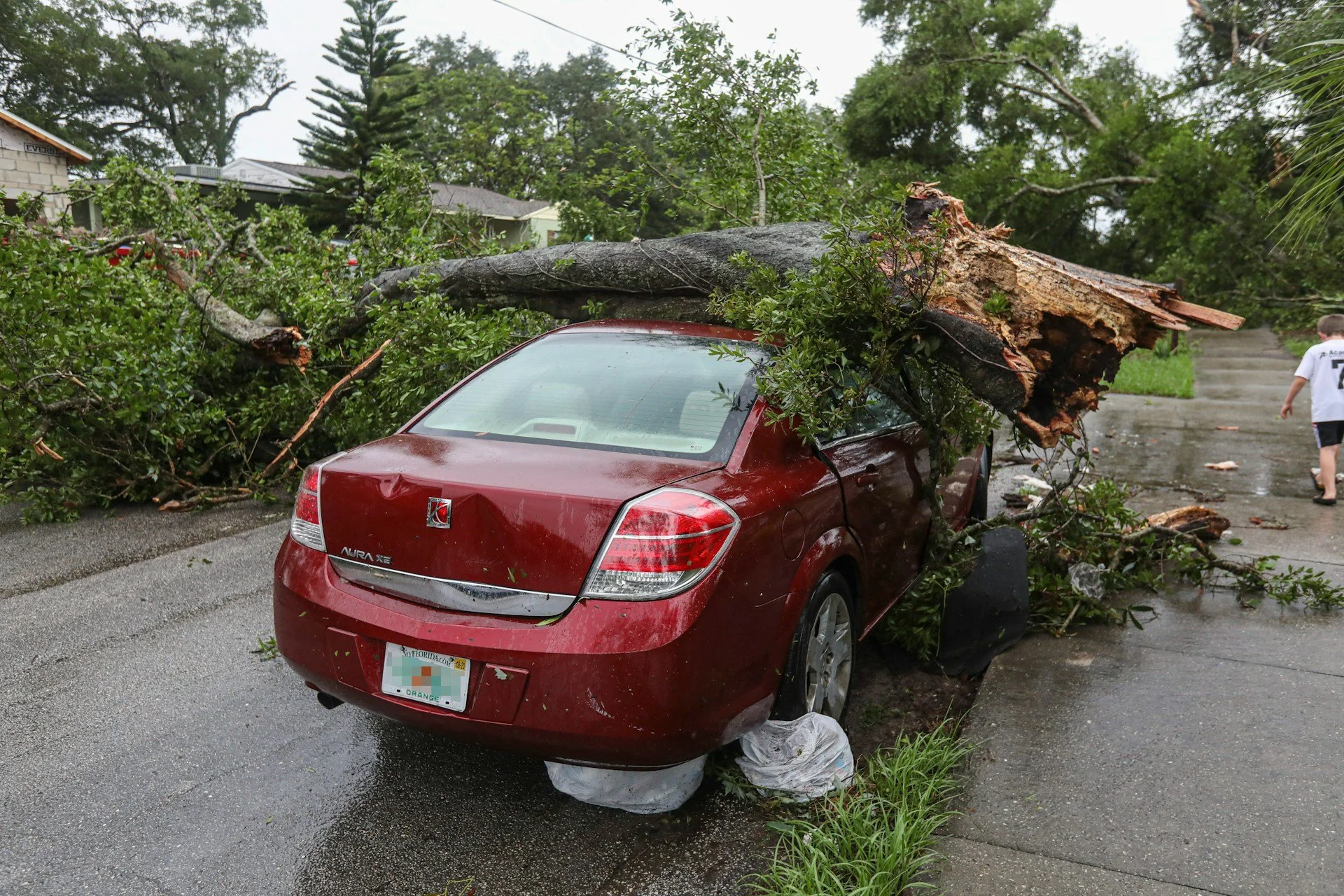 What Happens When a Tree Falls on Your Car in Delaware County