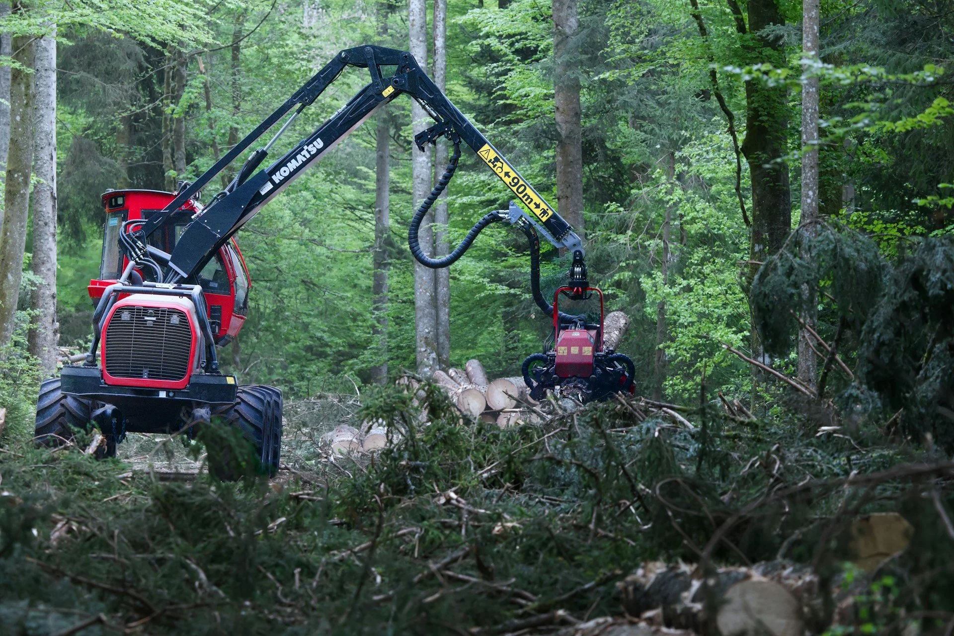 Land Clearing Decisions Before Backyard Projects in Media, PA