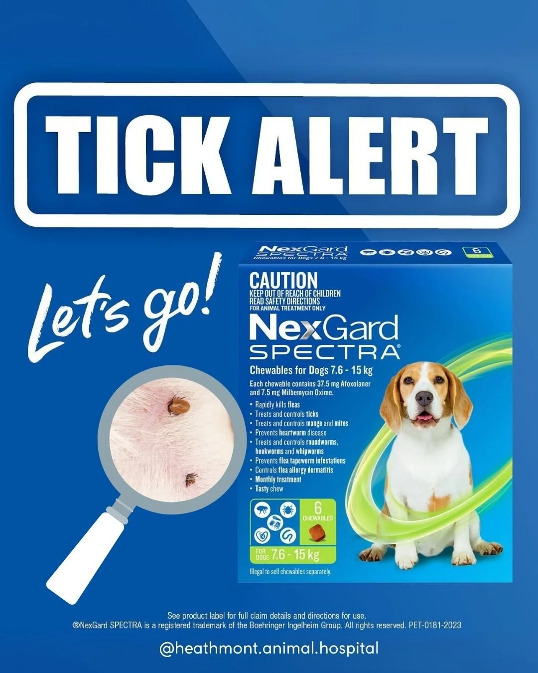 Lets talk 'ticks'!

With this hot weather, we are certainly in tick season and need to stay on high alert to protect our pets from ticks. Historically, ticks are not as prevalent in Melbourne due to climate, however their range is increasing with cli