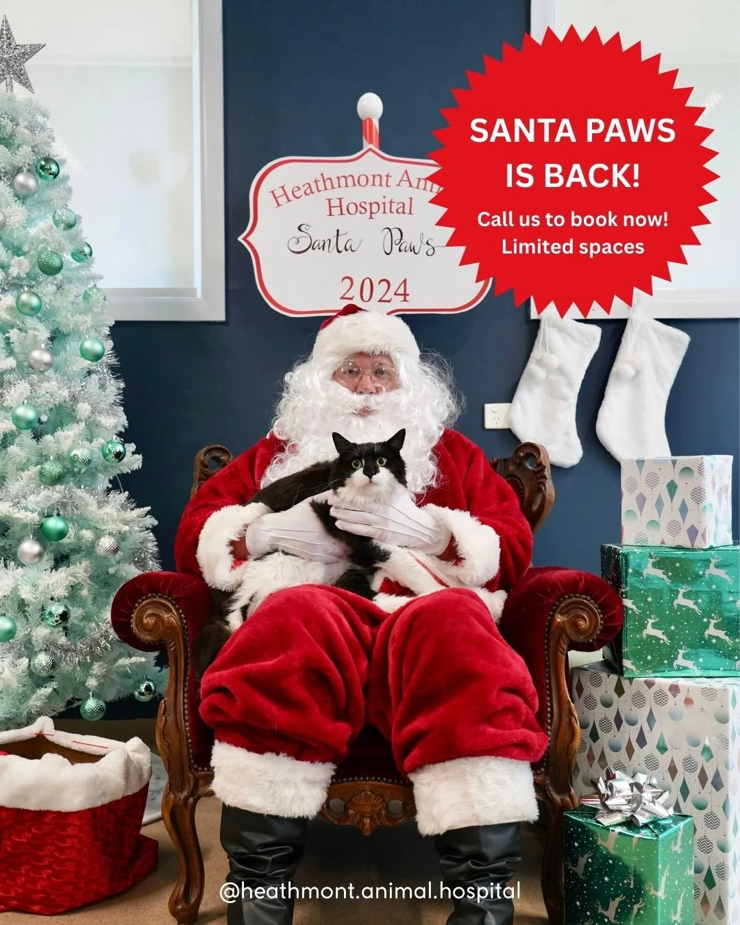 π
πΎ Santa Paws is coming back to town! πΎπ
We’re excited to announce the return of our Santa Paws Photoshoot at Heathmont Animal Hospital! After the success of last year’s event (we raised $500 for our Wildlife Fund – thank you!!