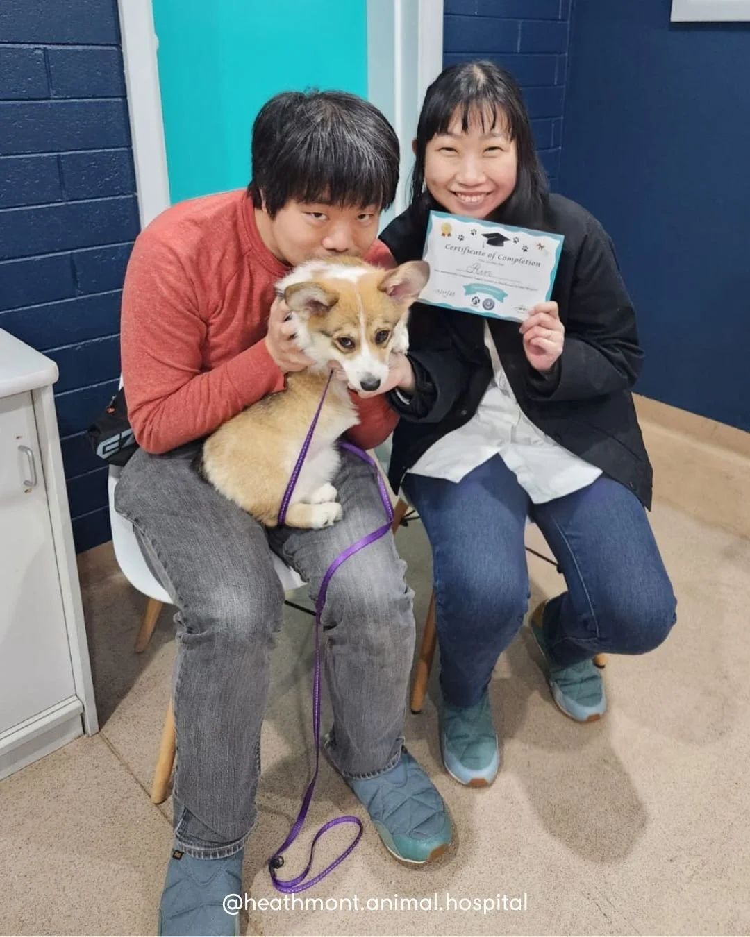 Puppy School Cohort Two was a success! 🐶🎓✨
A huge thank you to Aaron Scheef from Loyal Companion for running such fun, engaging, and educational classes &mdash; our pups (and their humans!) learned so much. 🐾

We&rsquo;re now taking a little break